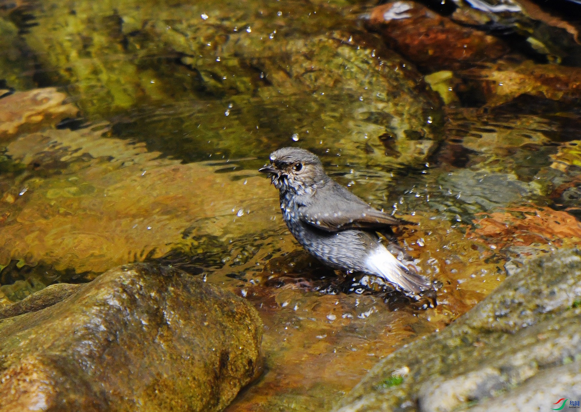 DSC_7301.jpg