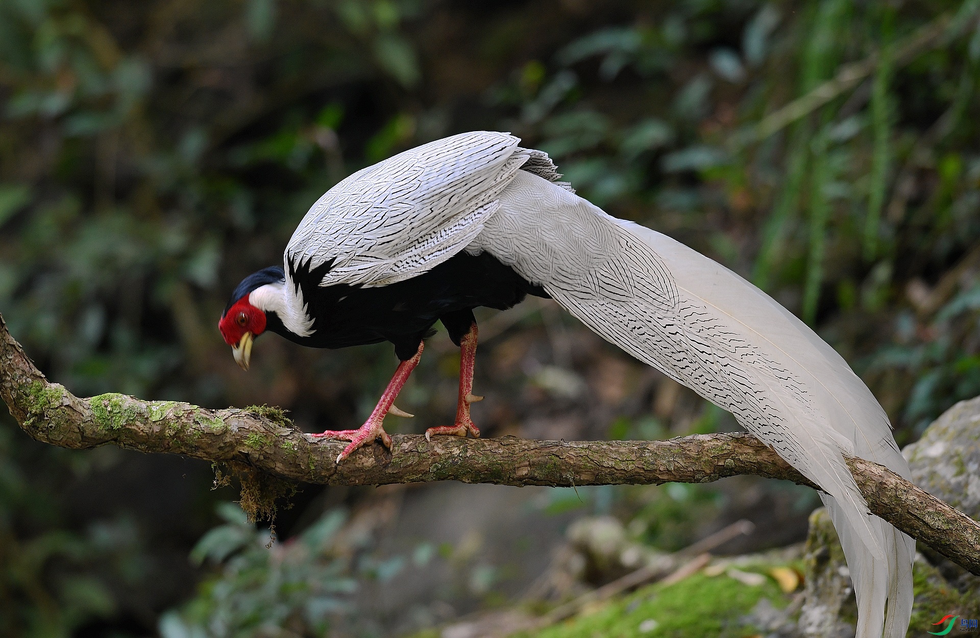 DSC_5312.jpg