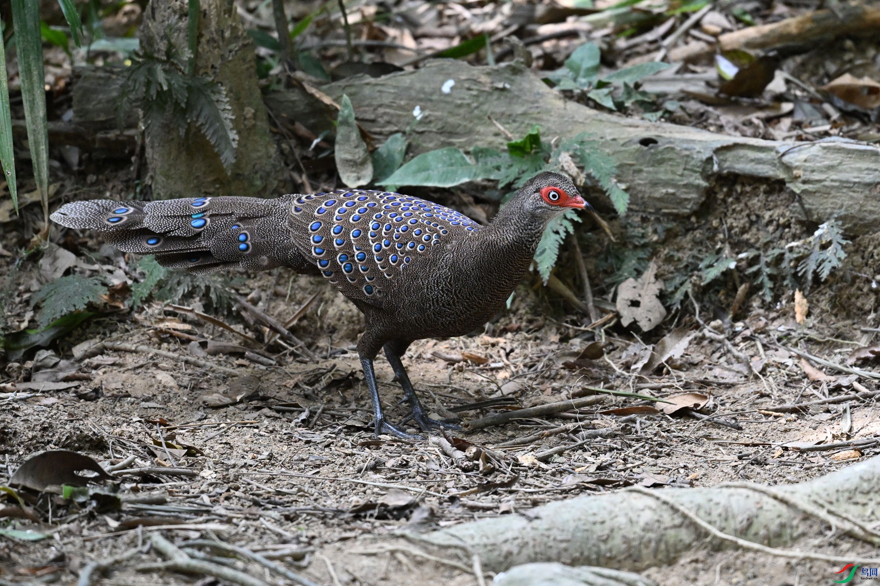 DSC_7502.JPG