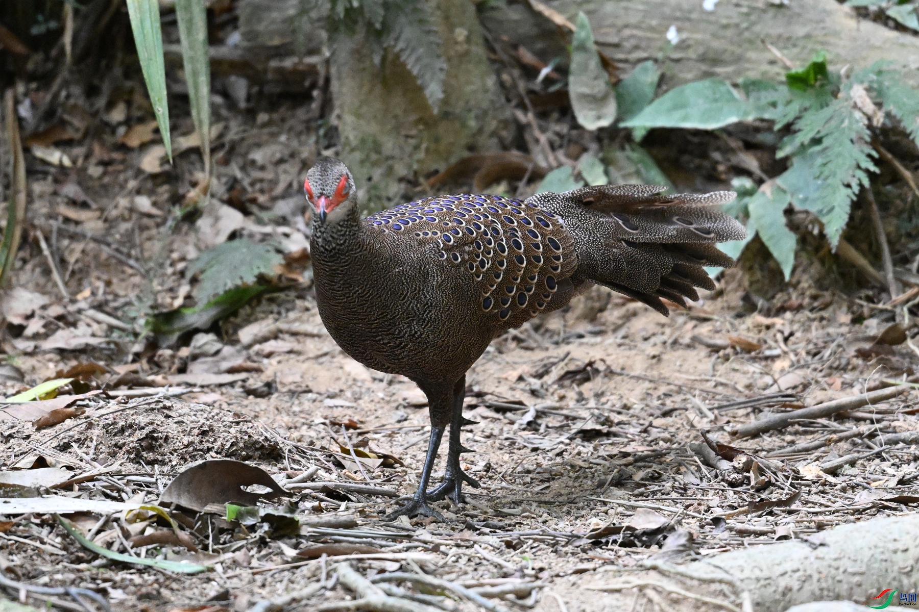 DSC_7508.JPG