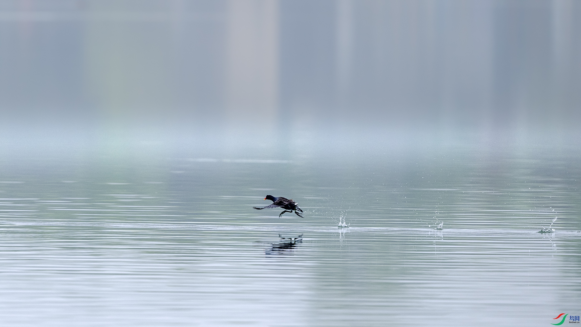 DSC_6358 ����.jpg
