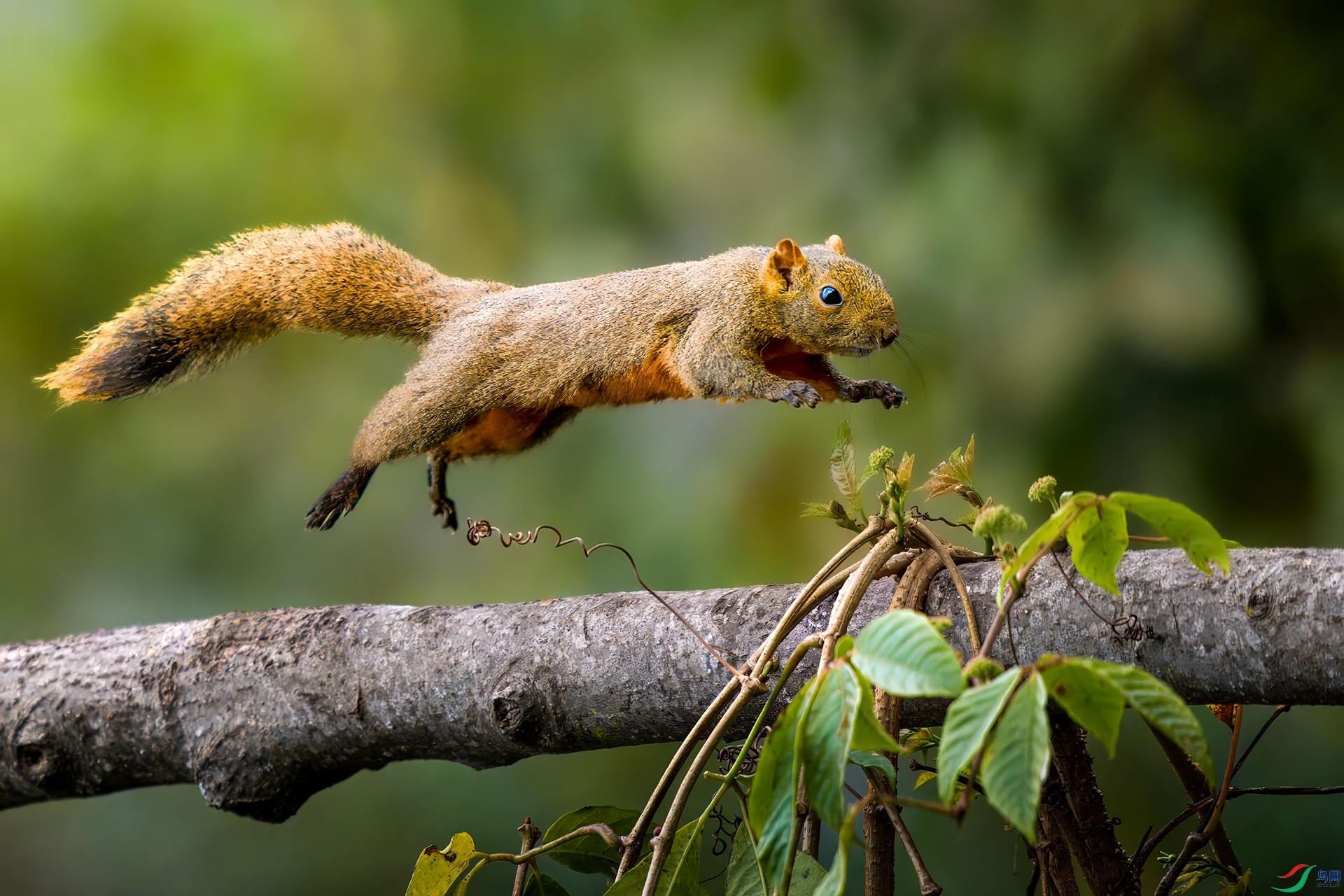 0_DSC5623-(1)-topaz-rawdenoise0.jpg