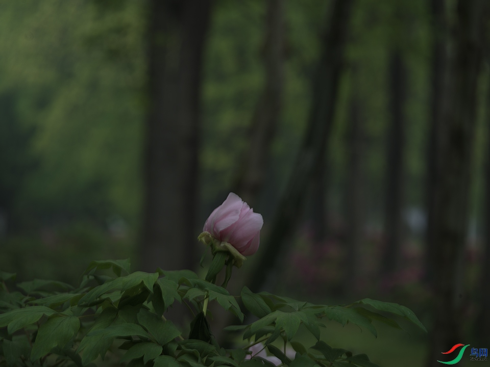 0091.jpg