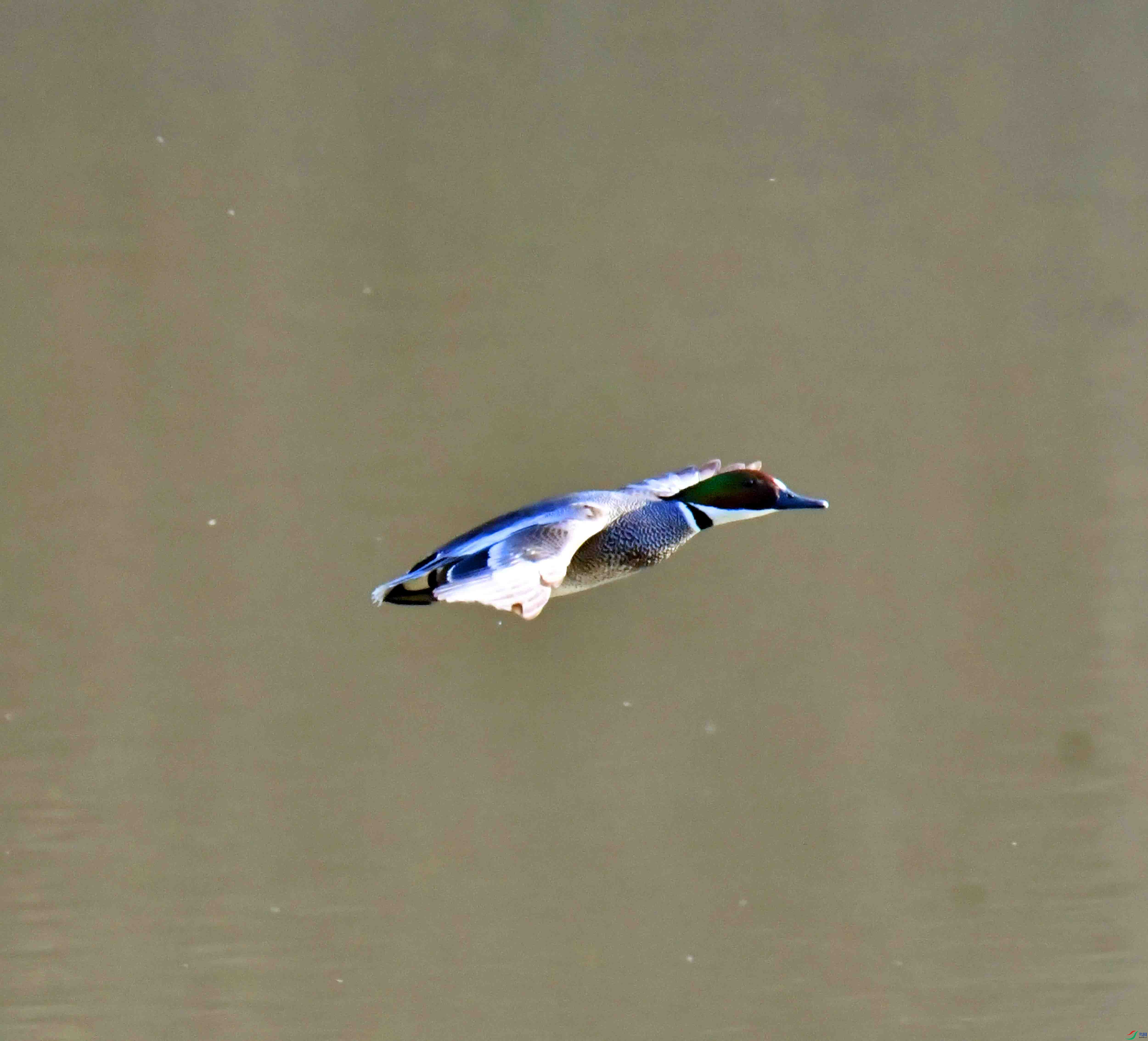 DSC_2223.JPG