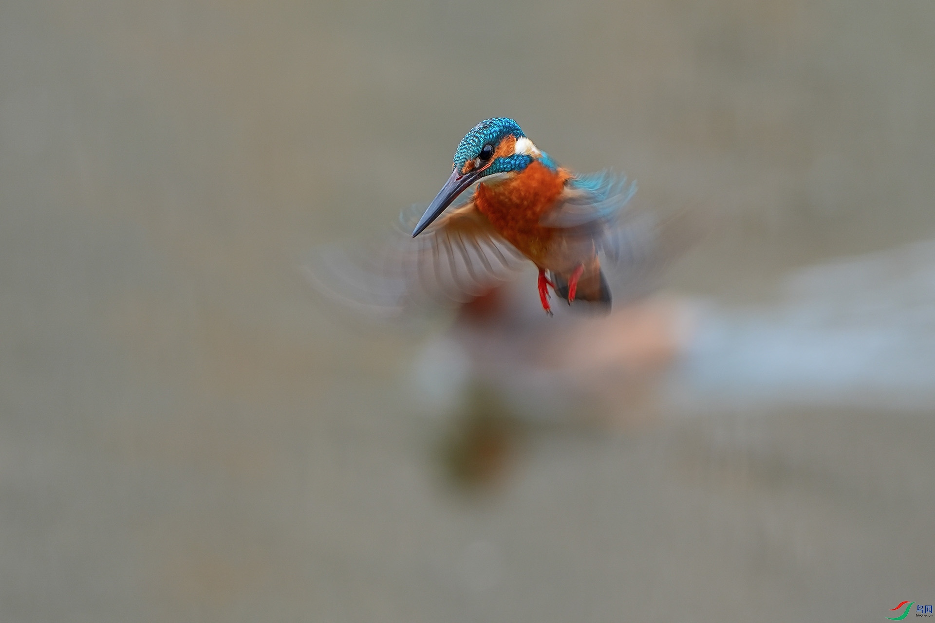 DSC03810-1.jpg