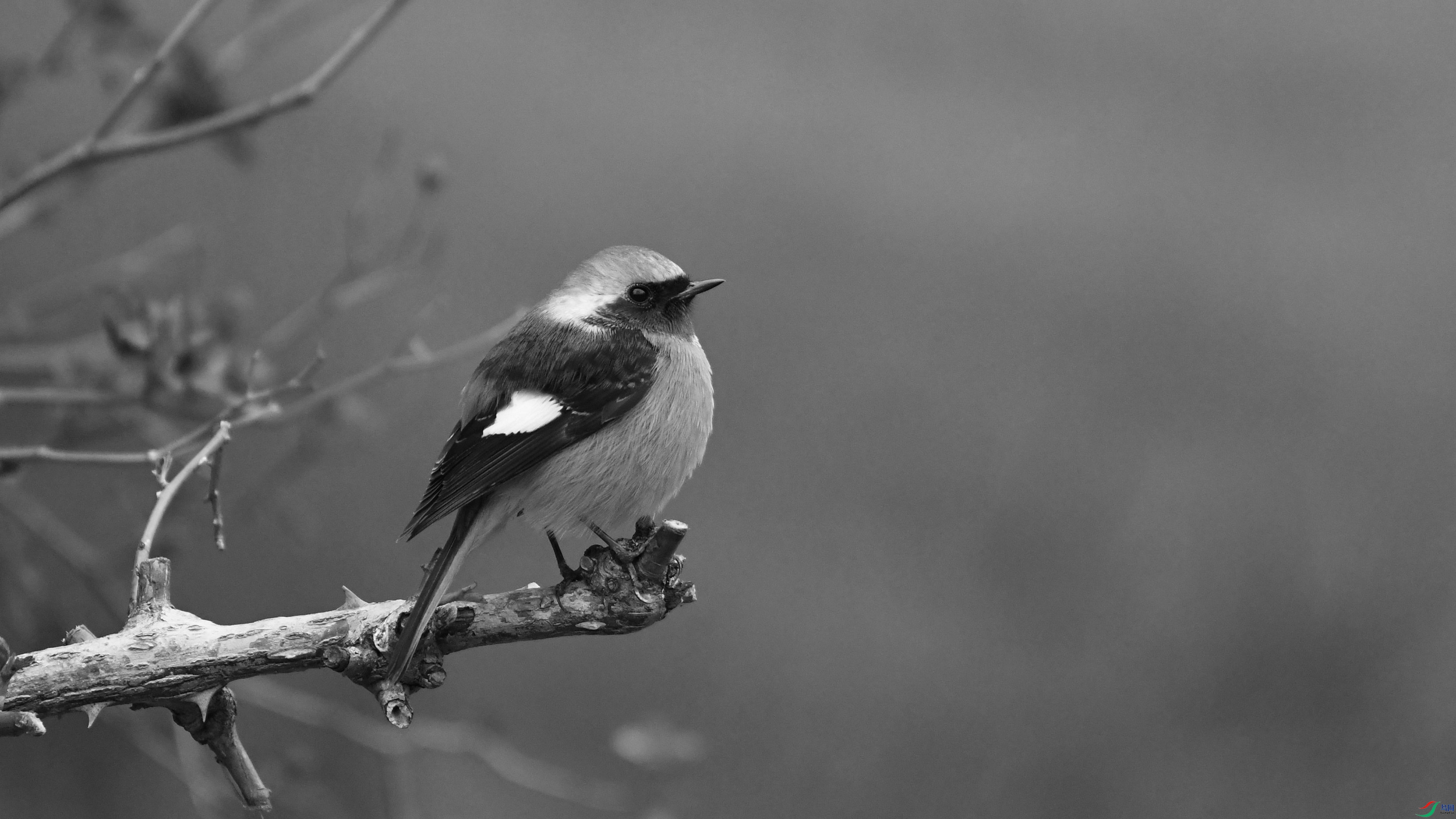 DSC_5199.JPG