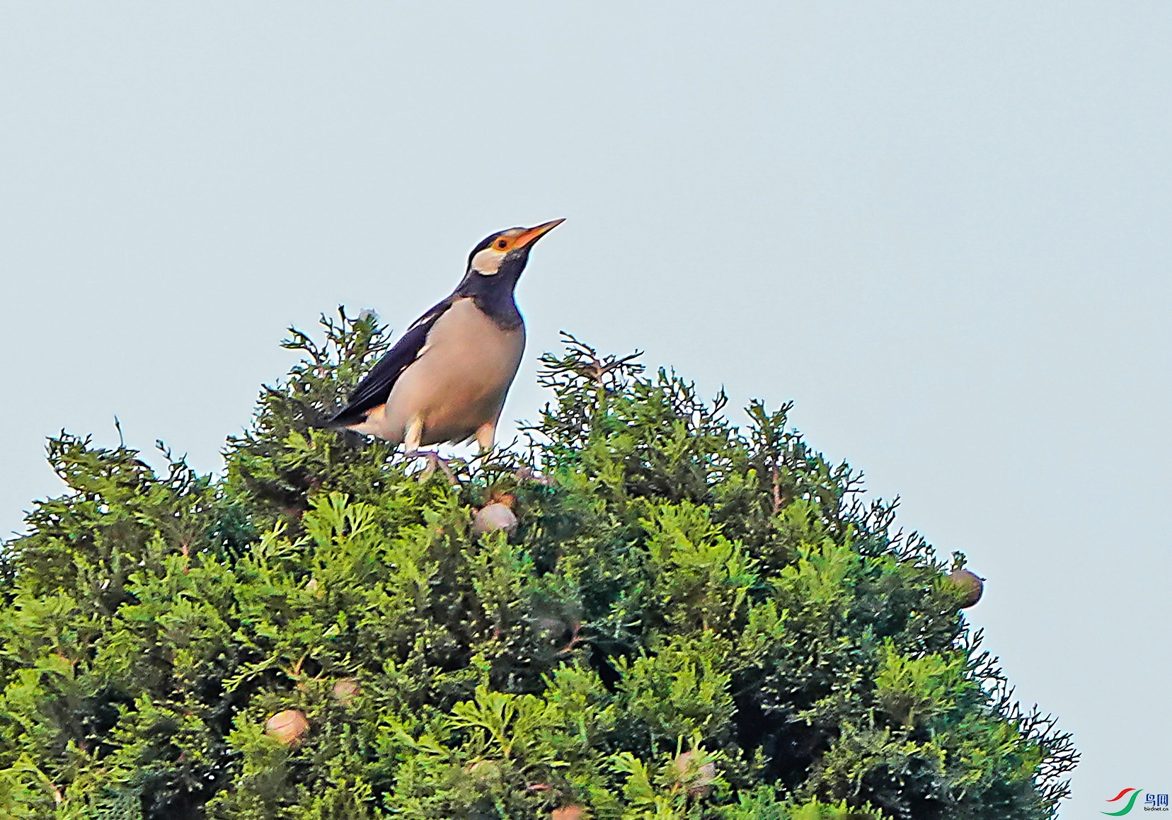 DSC00015-6x.jpg