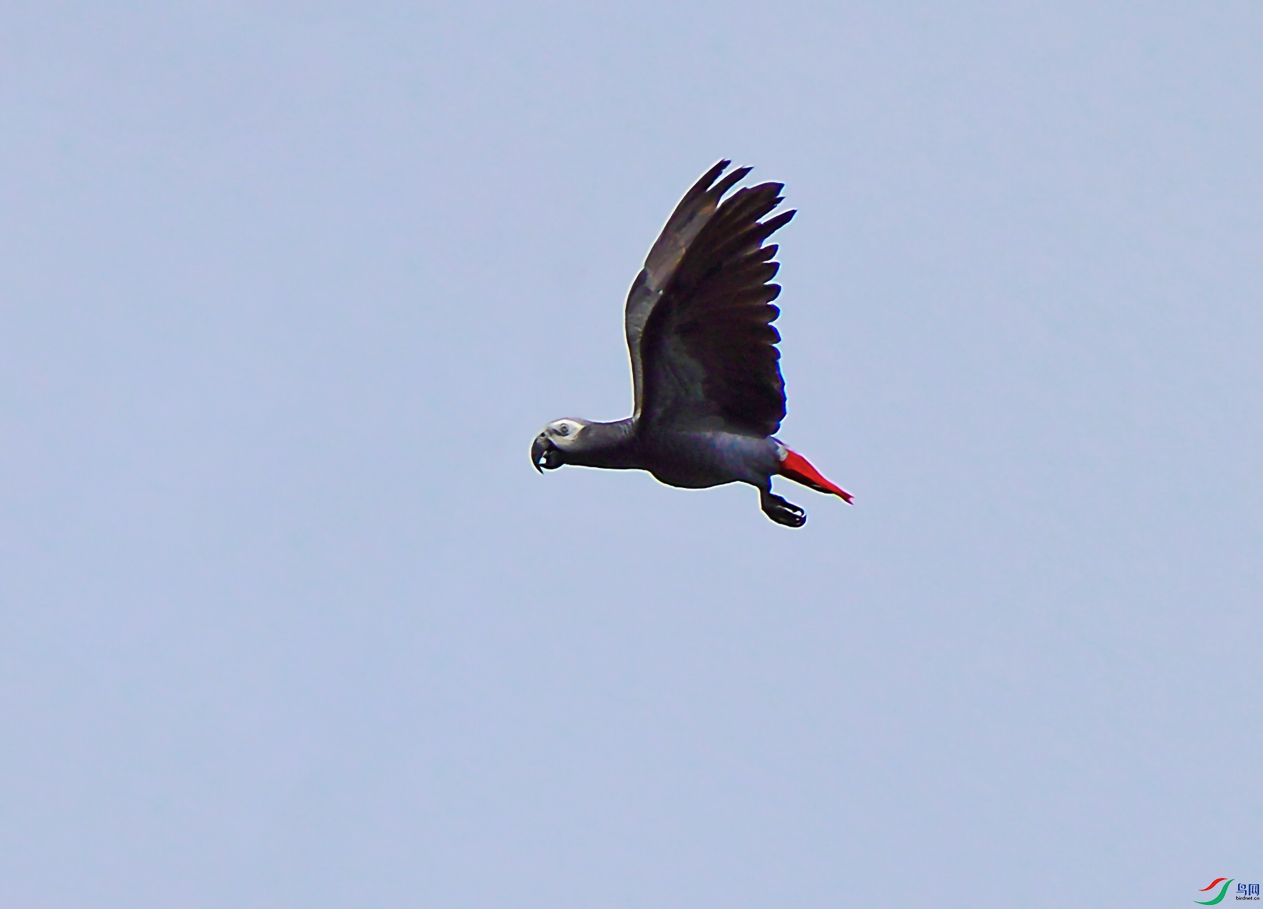 DSC07097-6d.jpg