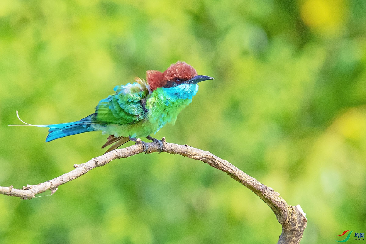 DSC_3823.jpg
