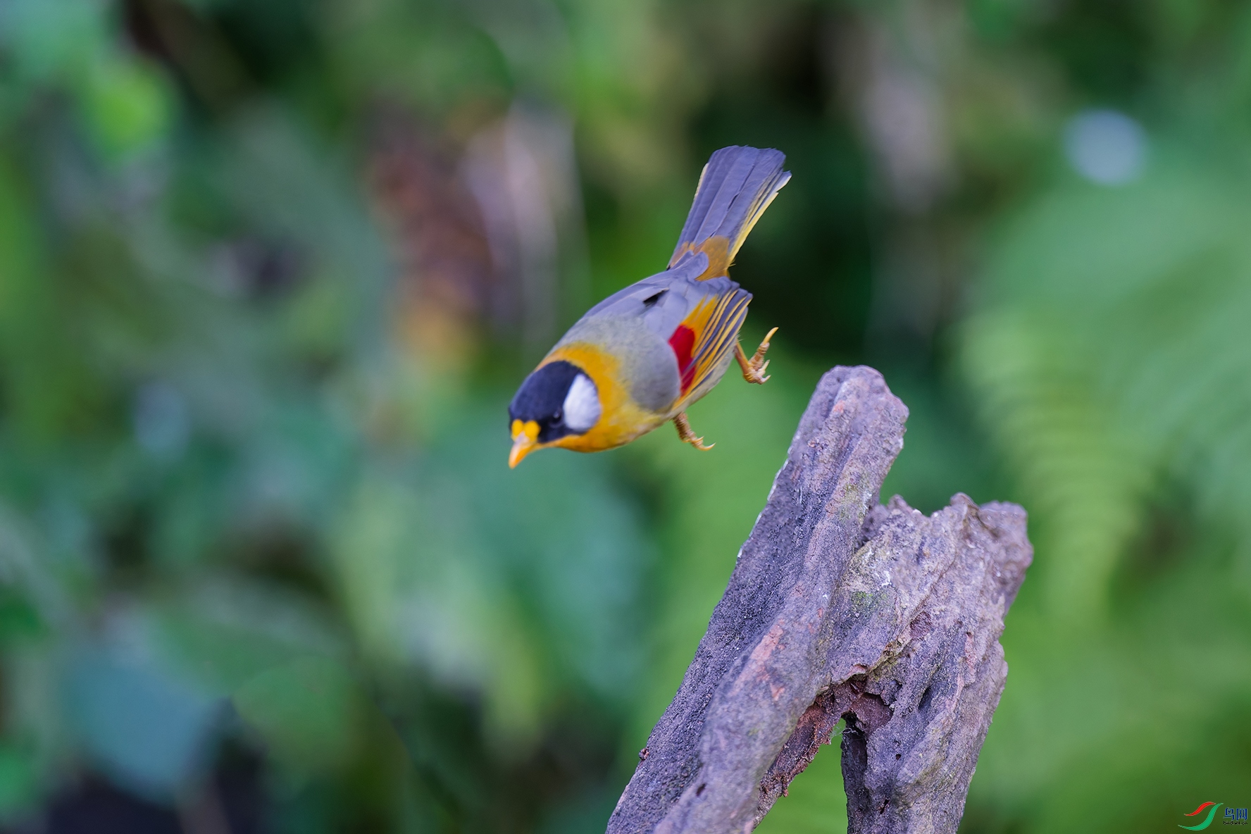 DSC_1971_DxO_DxOa.jpg