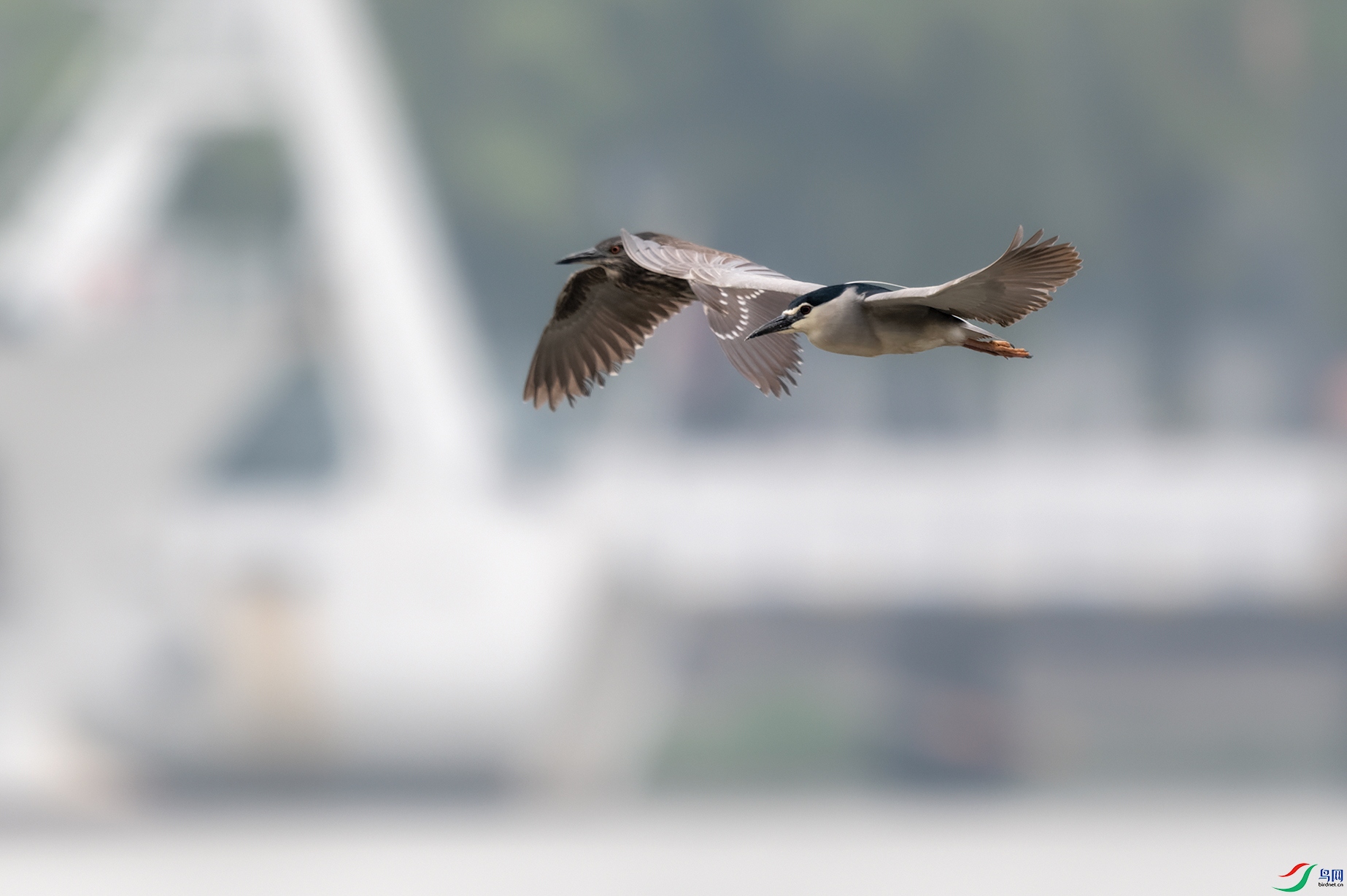 4DSC_9458_DxOa.jpg