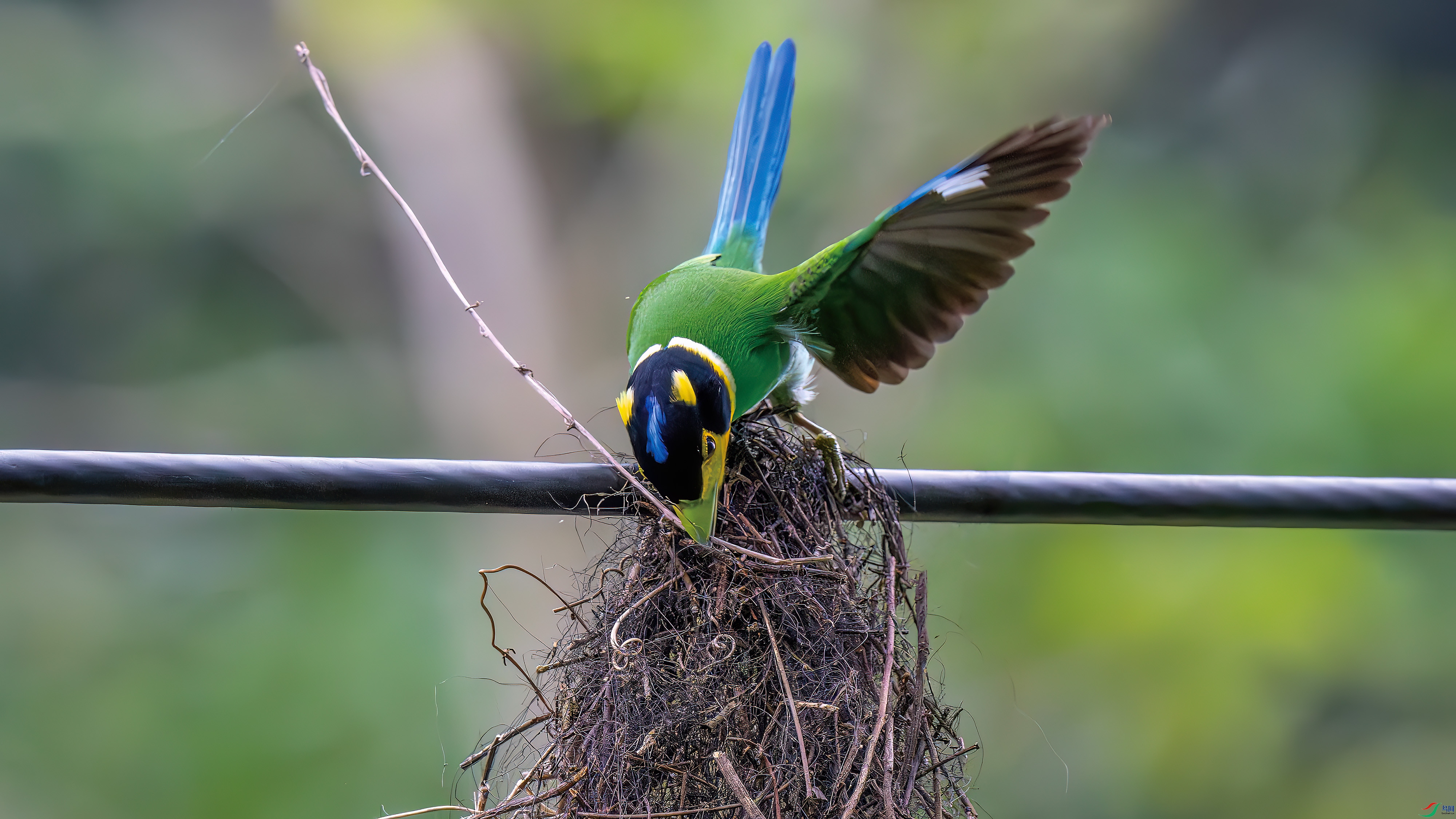 DSC_1681.jpg
