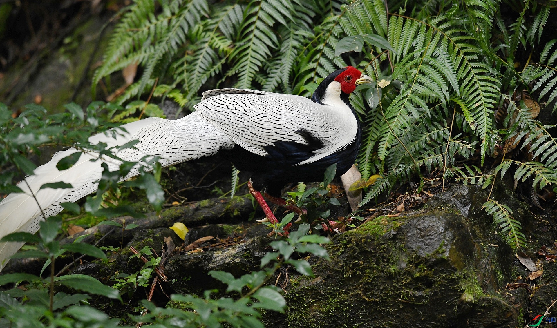 DSC_6802.jpg