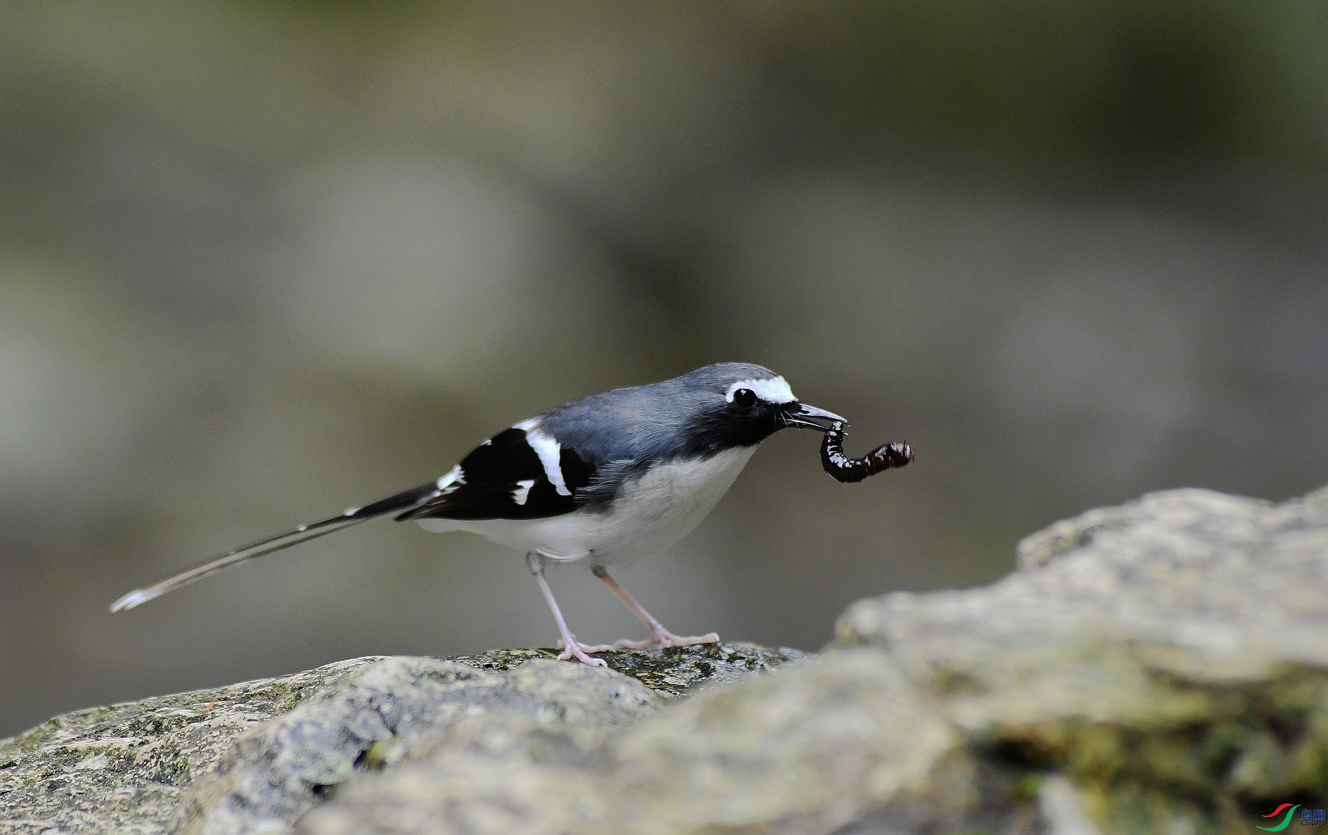 DSC_9478.jpg