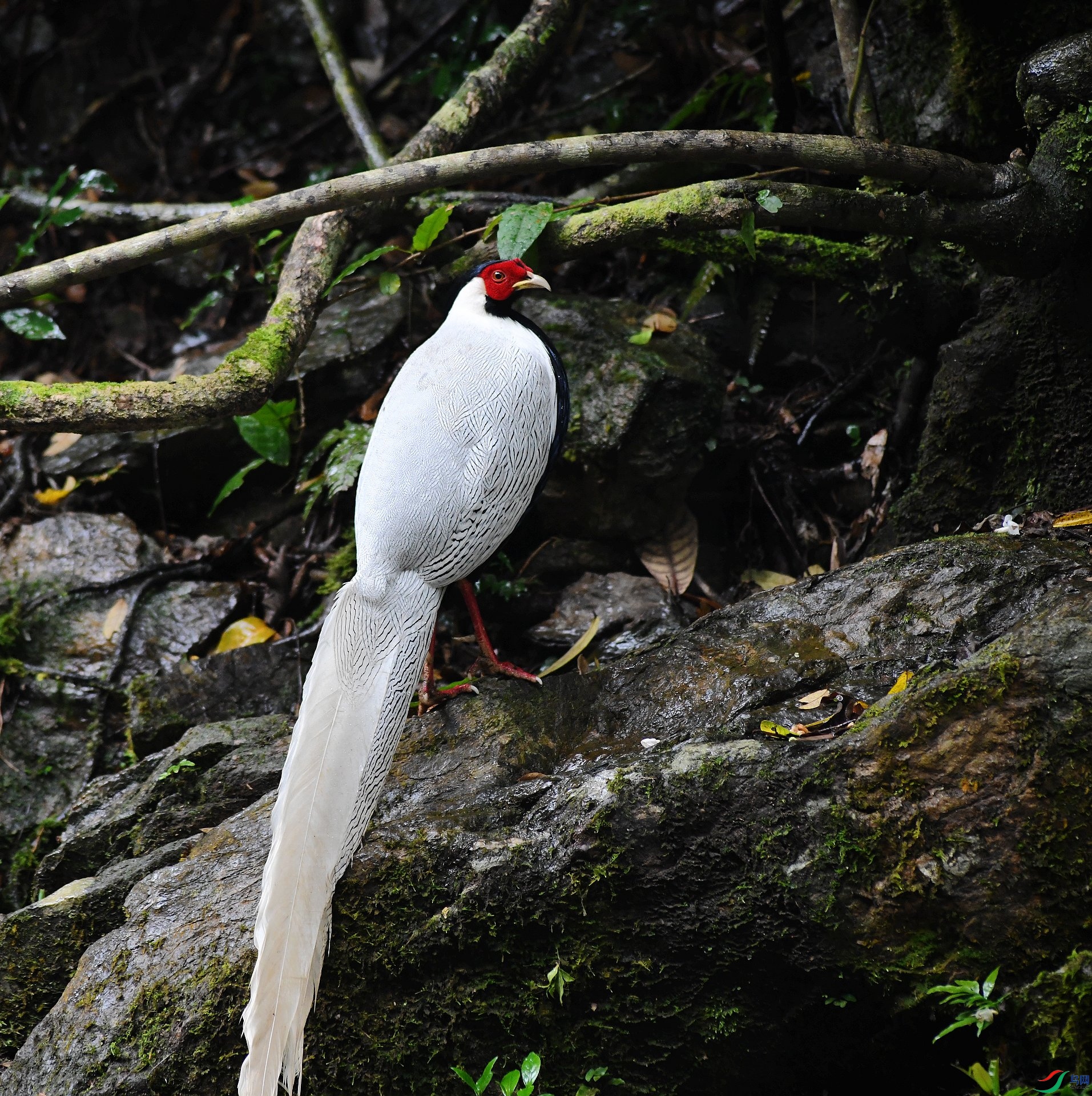 DSC_8478.jpg