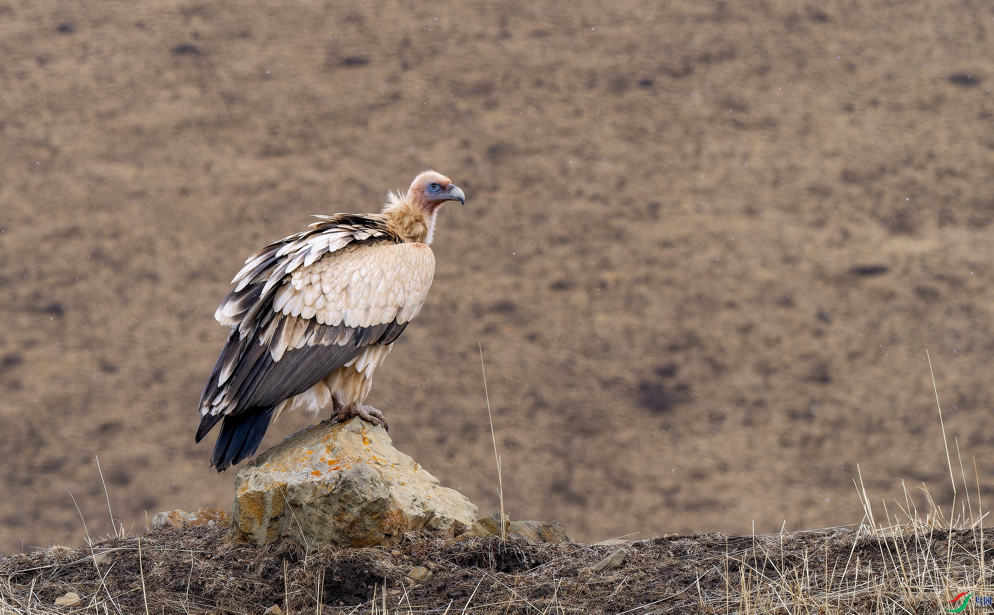 ��ɽأ��-1 (1)-1.jpg
