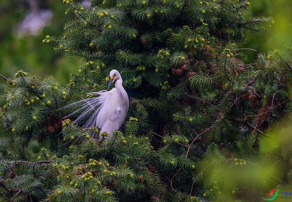 _DSC2077.jpg