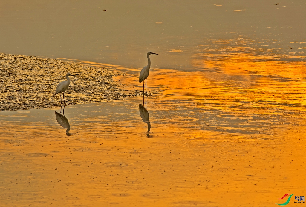 _DSC1409v.jpg