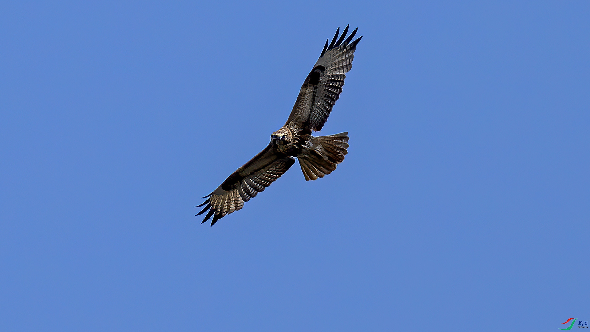 DSC_4639-.jpg