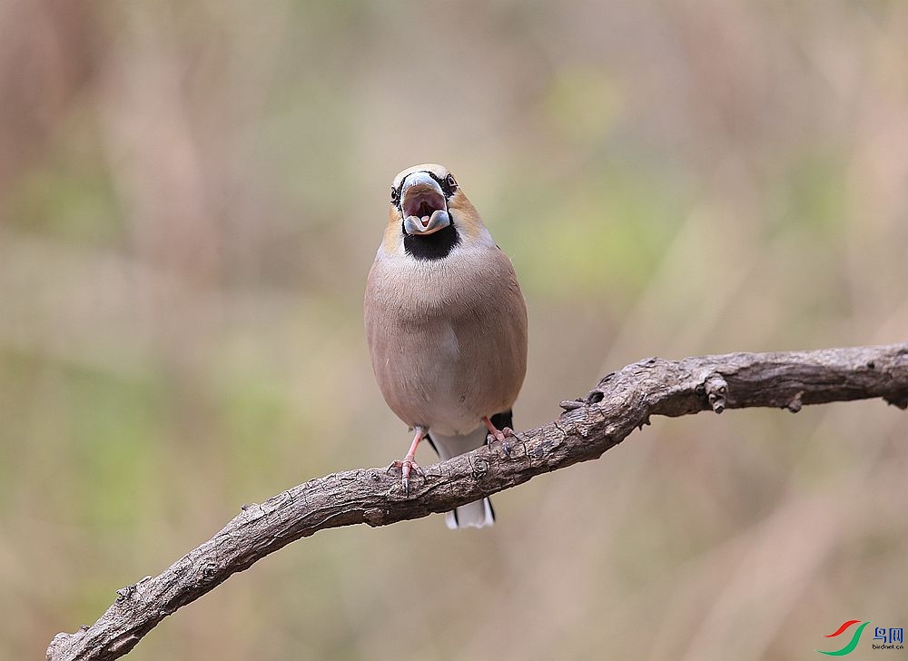 D72T4764.JPG