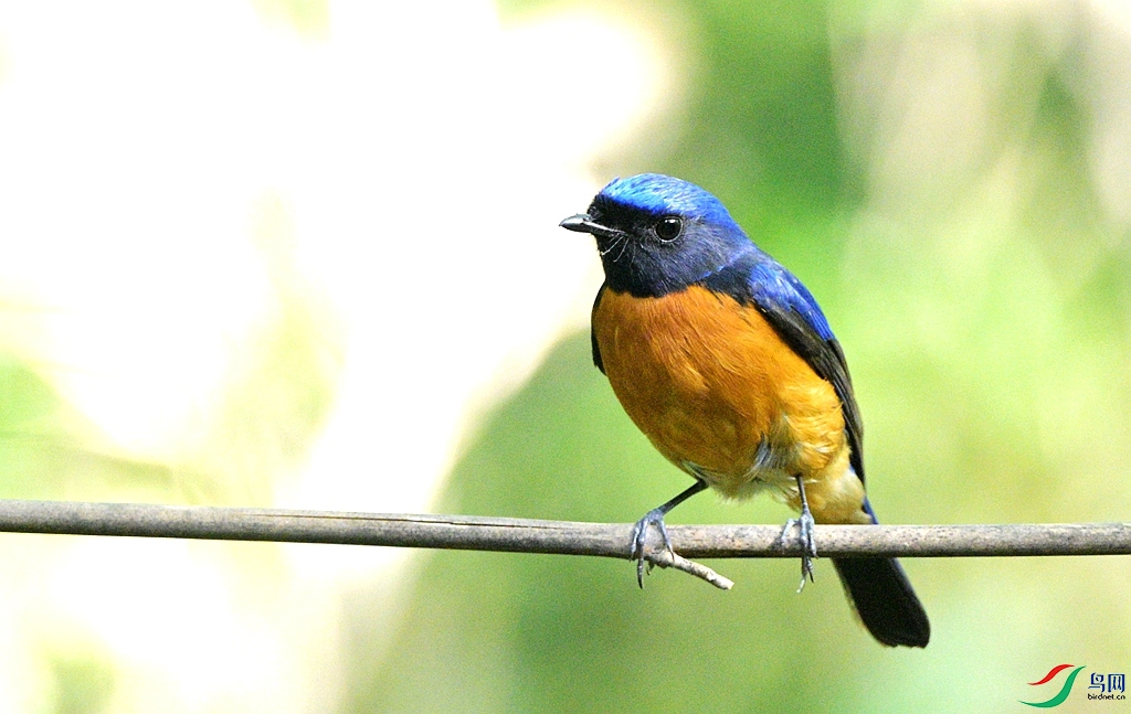 DSC_1960.JPG