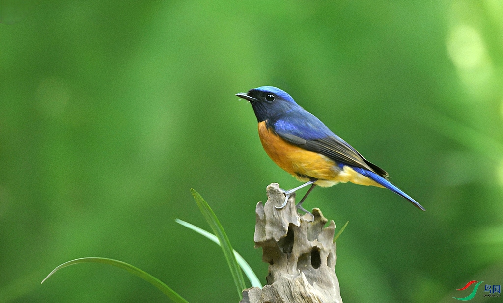DSC_2095.JPG