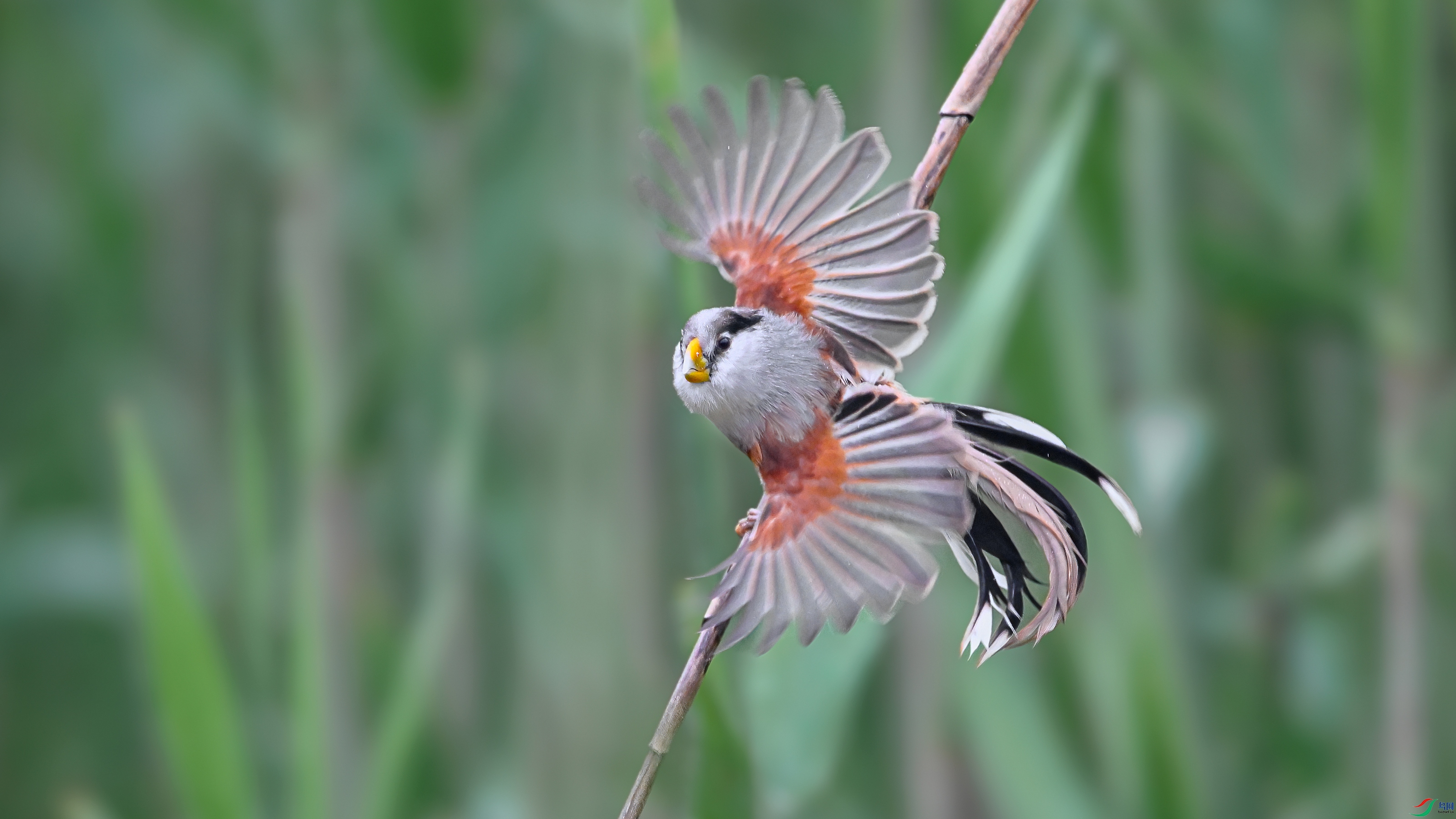 ��Ƭ1_DSC0772.jpg