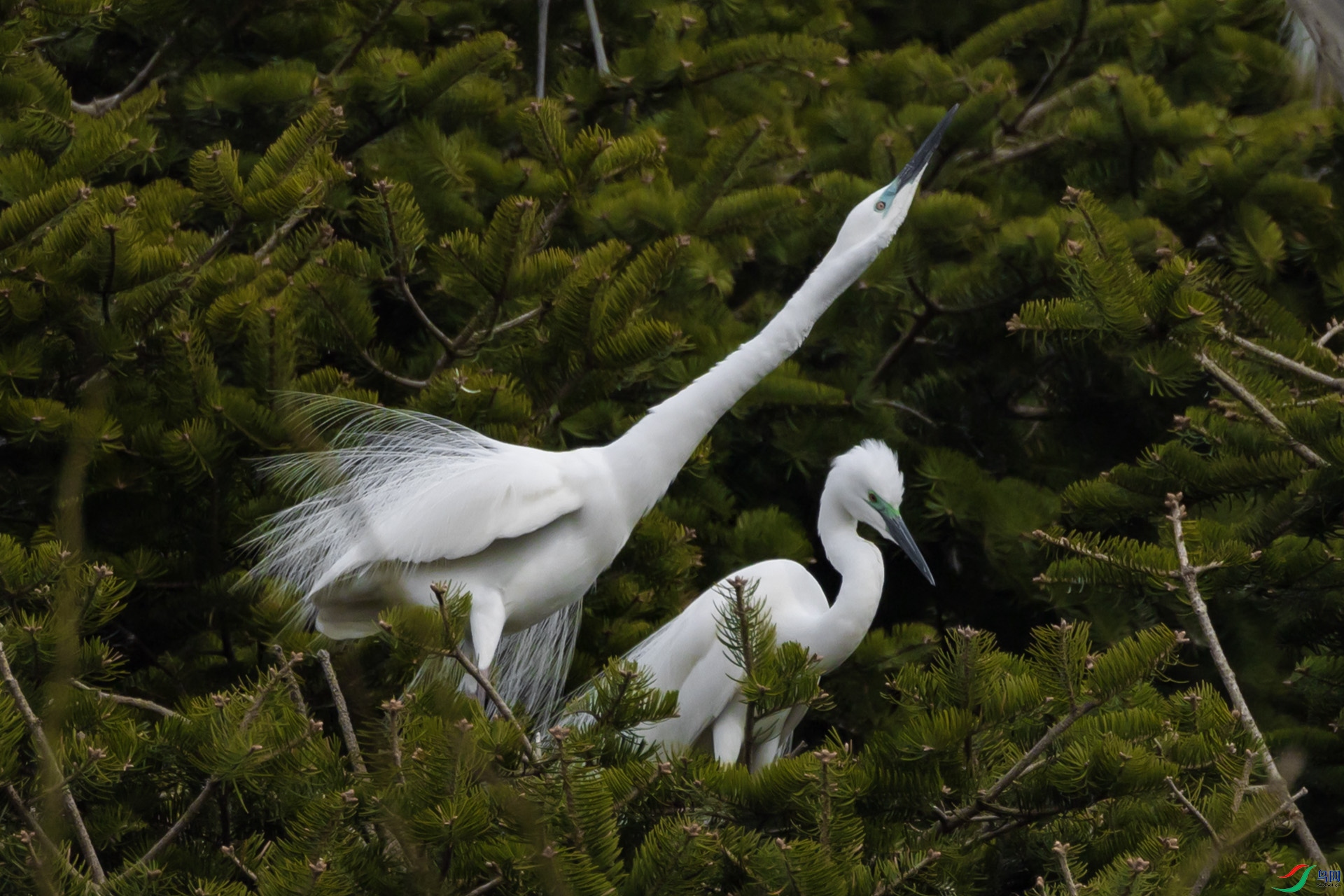 _L3A1184 ����.jpg