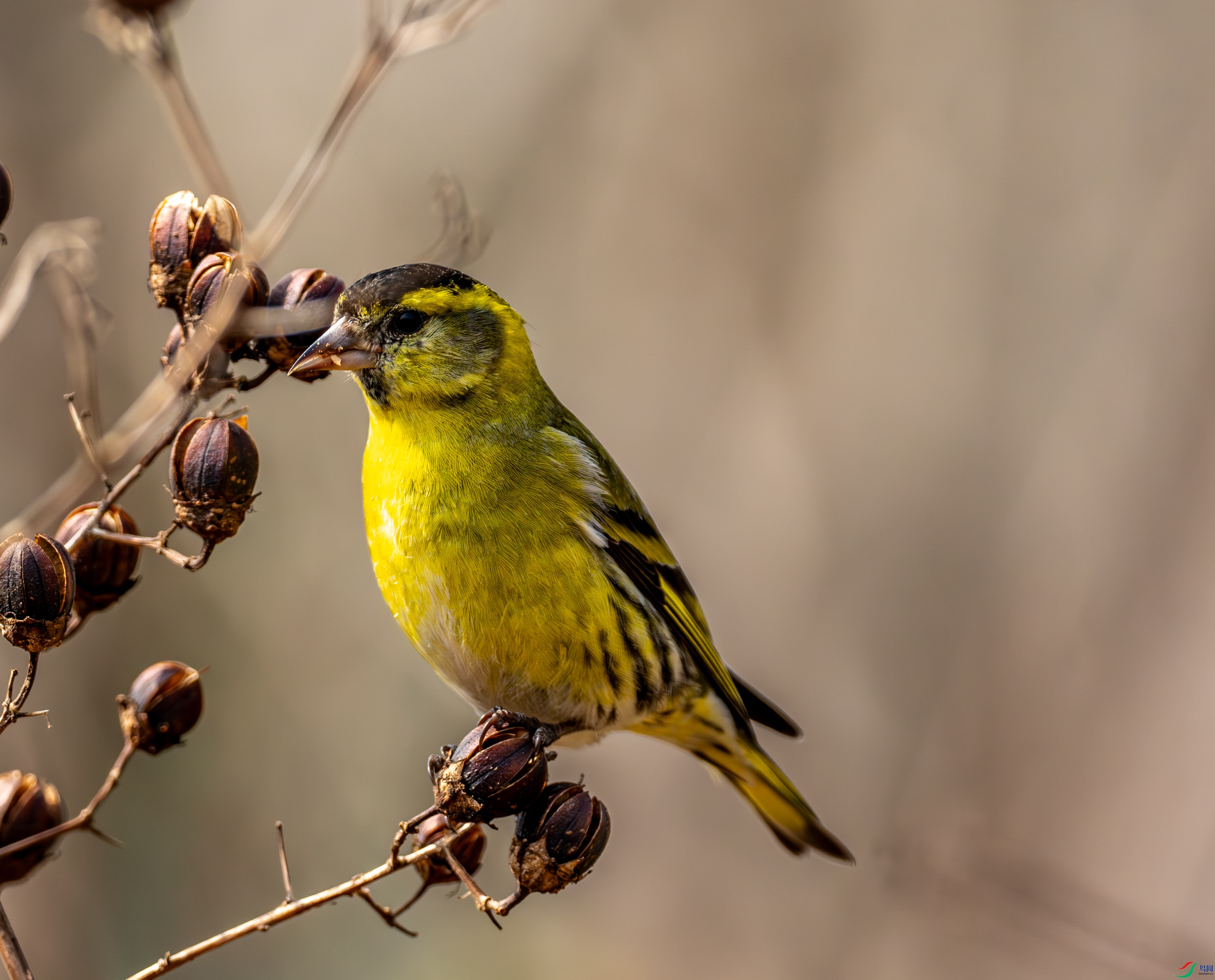 ��ȸ (2 - 12).jpg