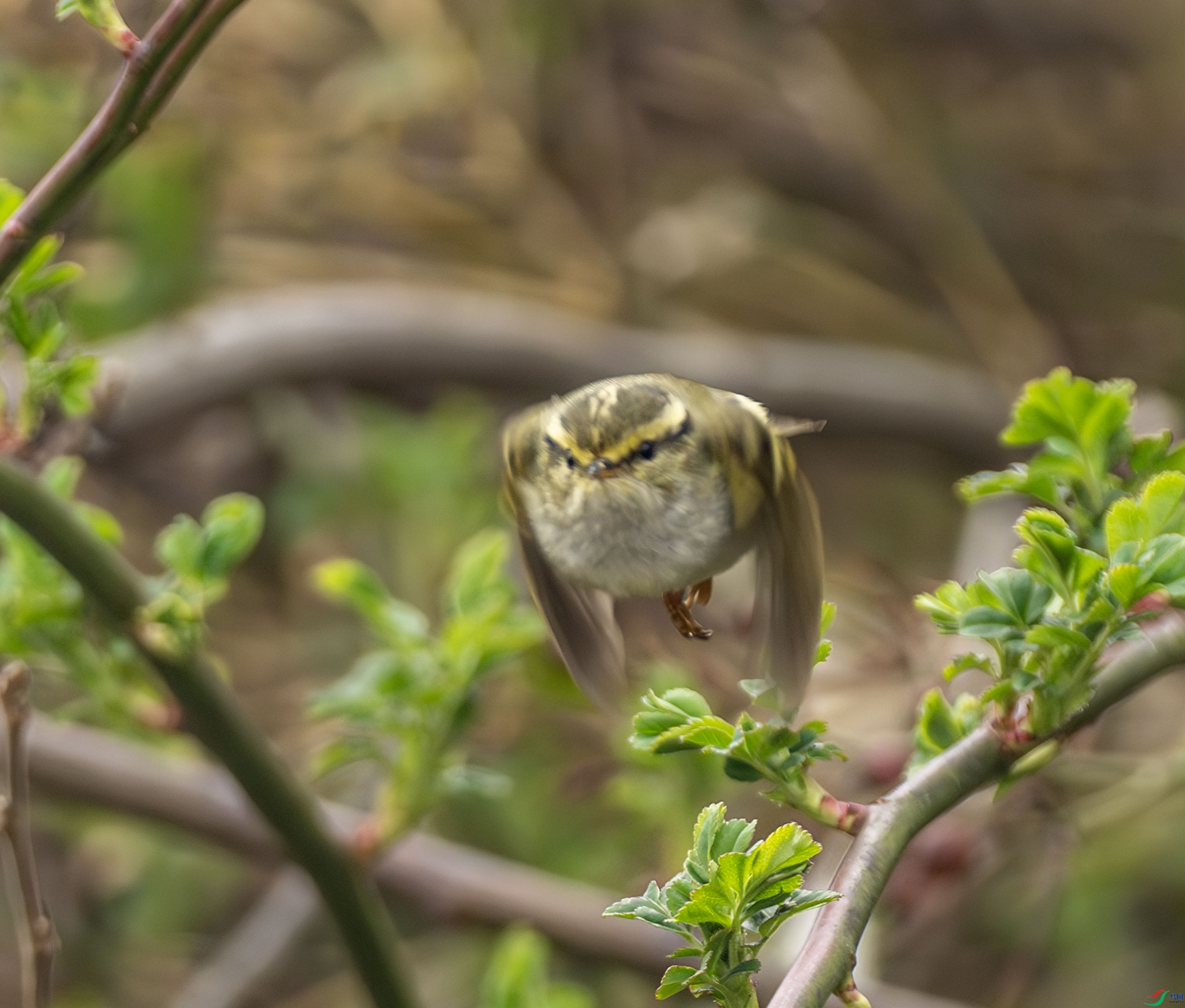 ������ݺ (3 - 3).jpg