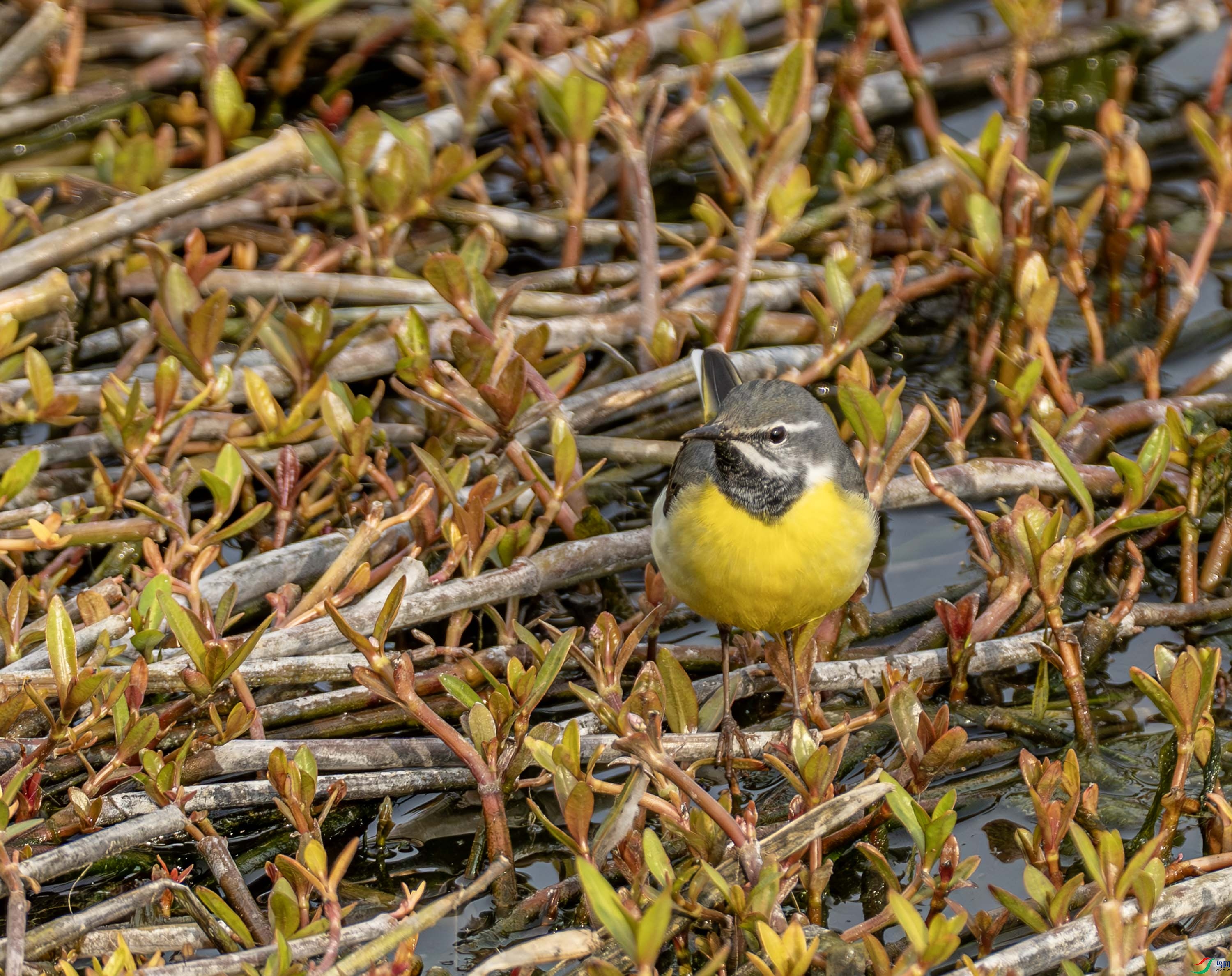 ���n�_ (1 - 7) (5).jpg