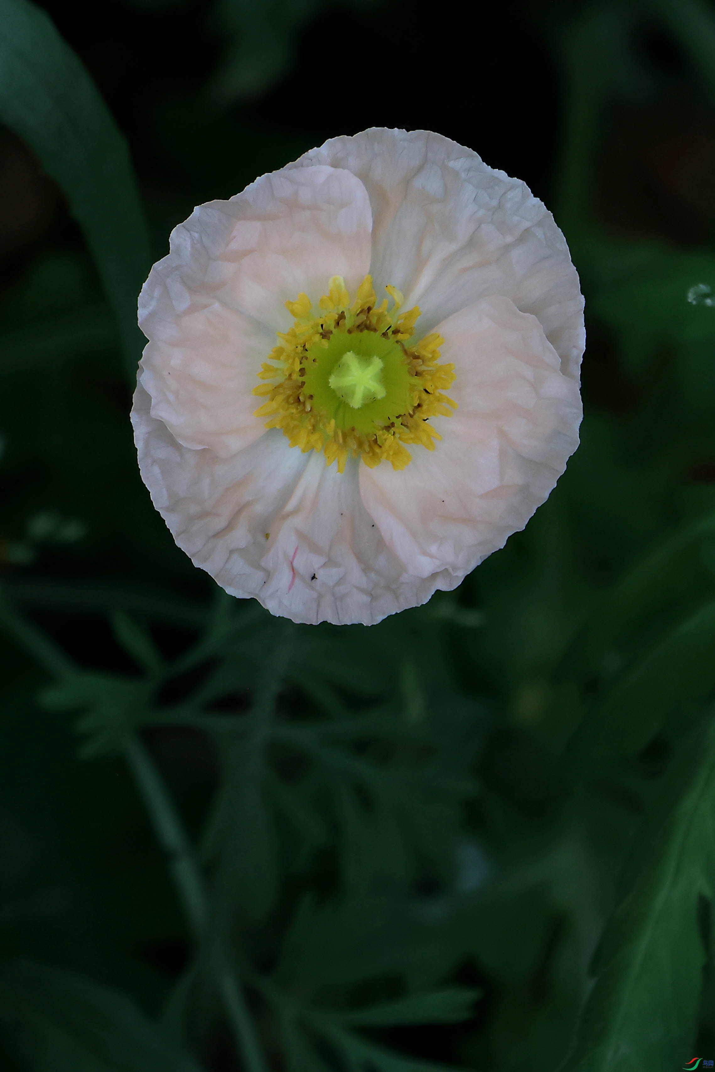 2G9A4628.JPG