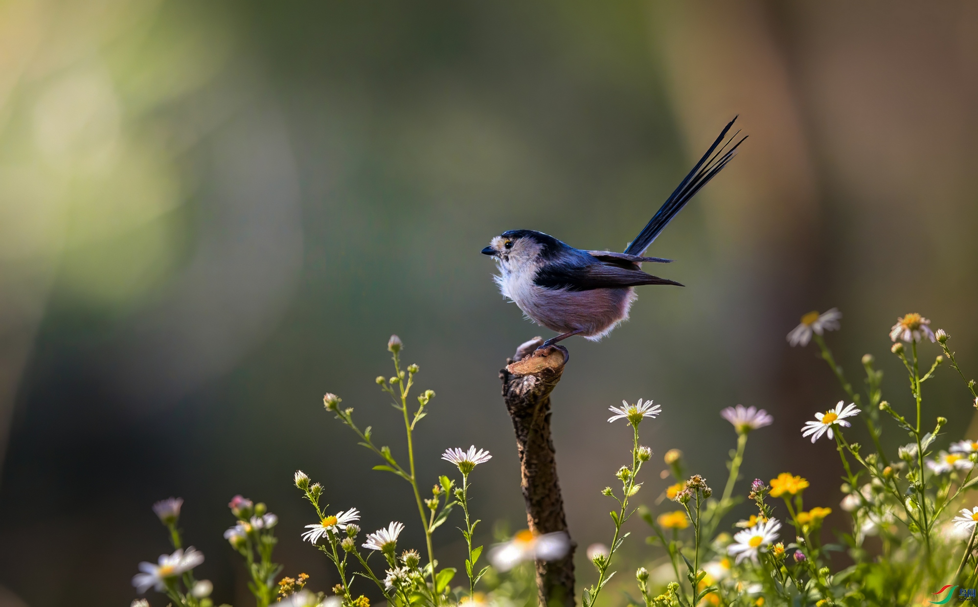 2D8A4672-1.jpg
