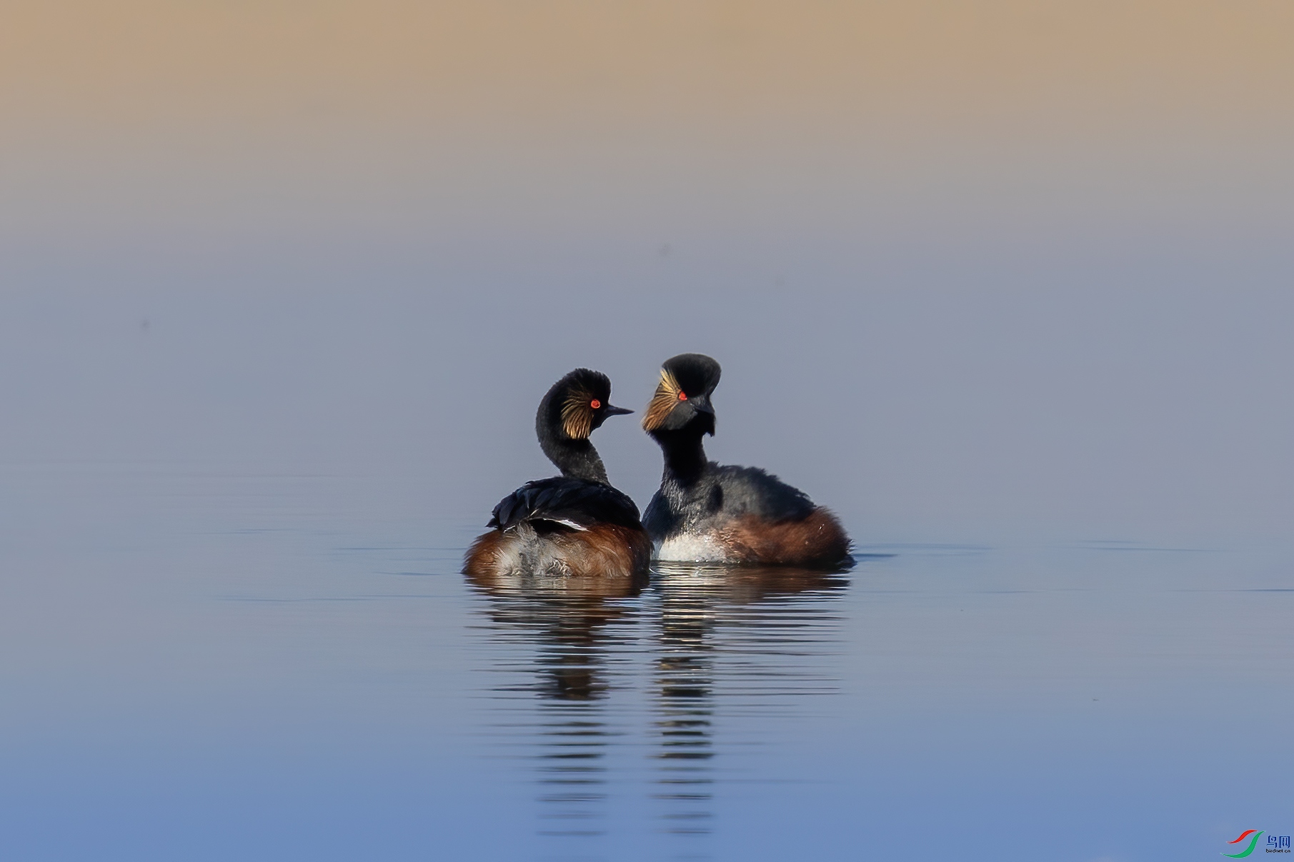 IMG_6024 ����.jpg