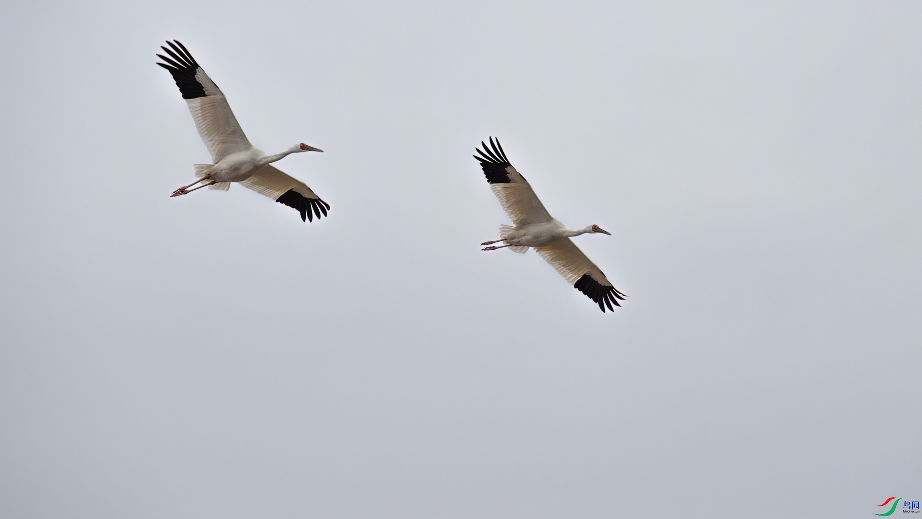 DSC_1193sen2026-2-27-129-�༭.jpg