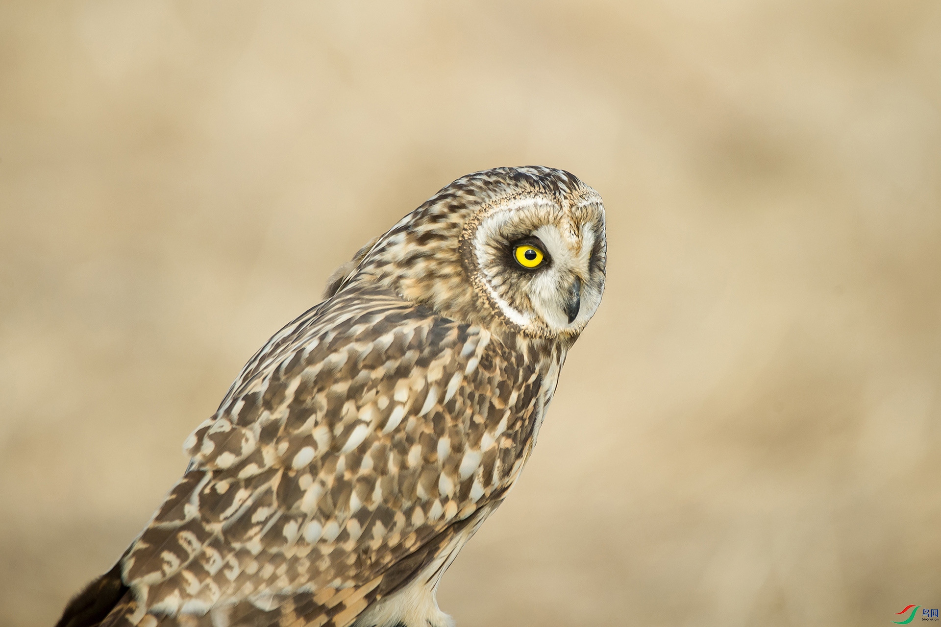 DSC_0921-20201221�ü�.jpg