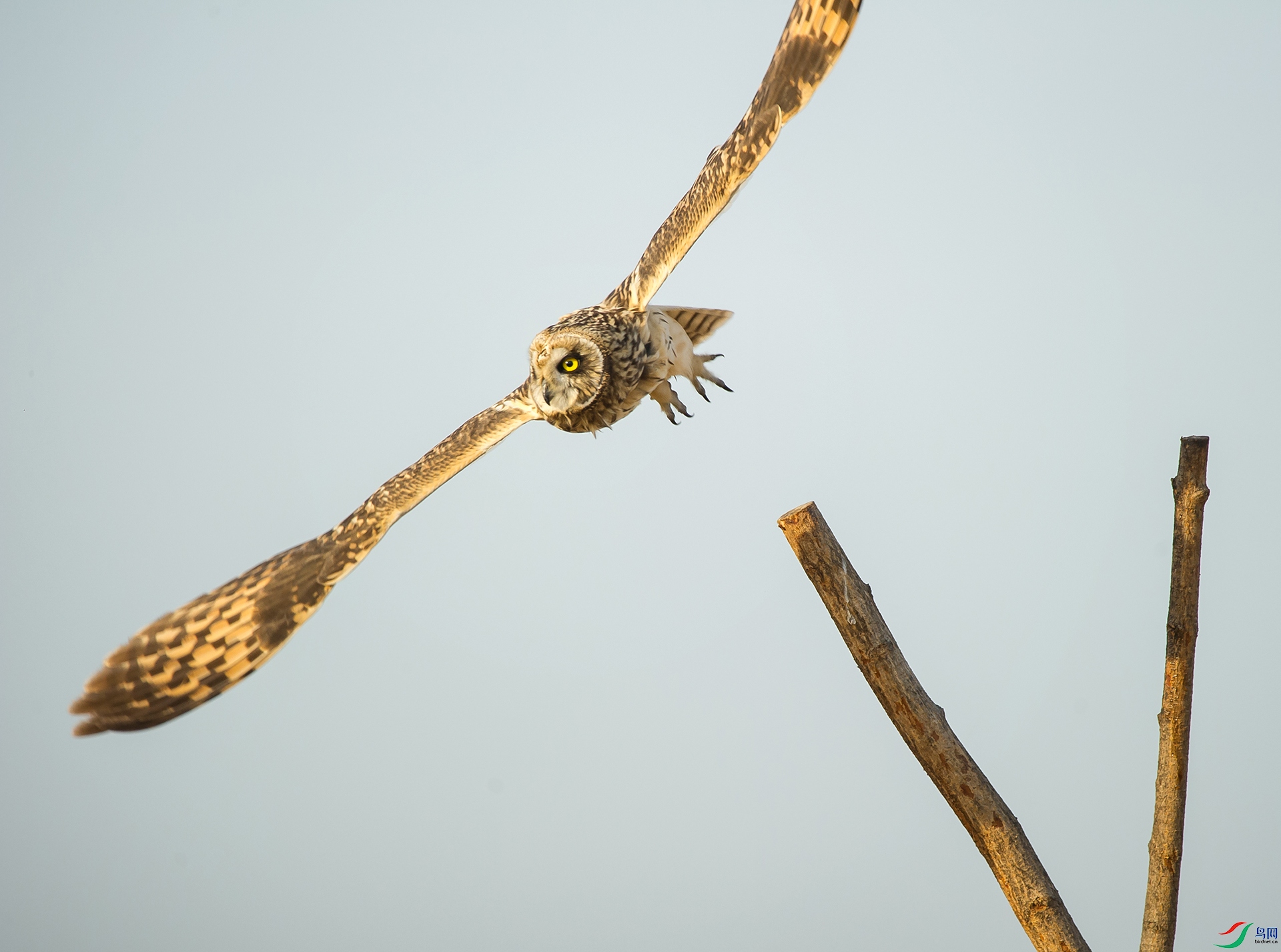 DSC_1026-20201221�ü�.jpg