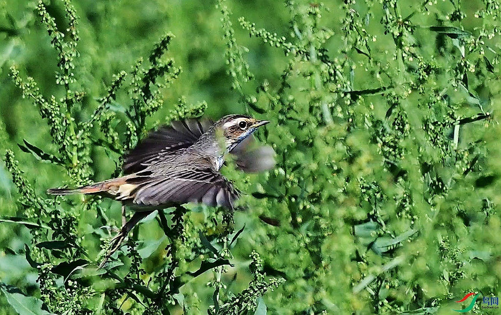 DSC_7879.JPG