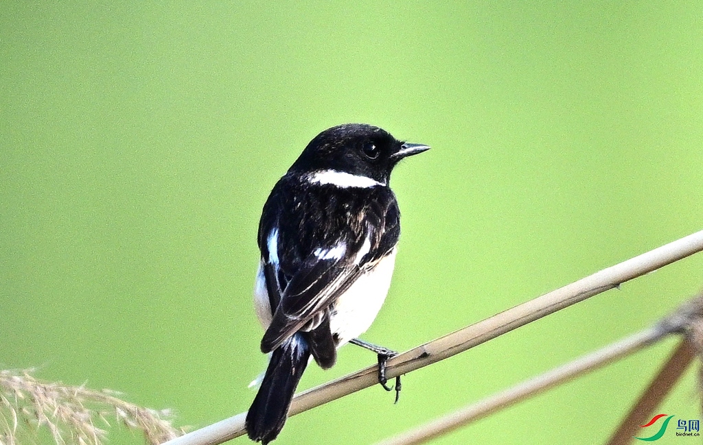 DSC_6983.JPG