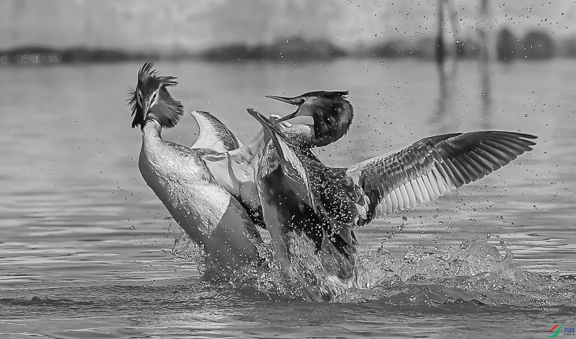 L10A0182 ����.jpg