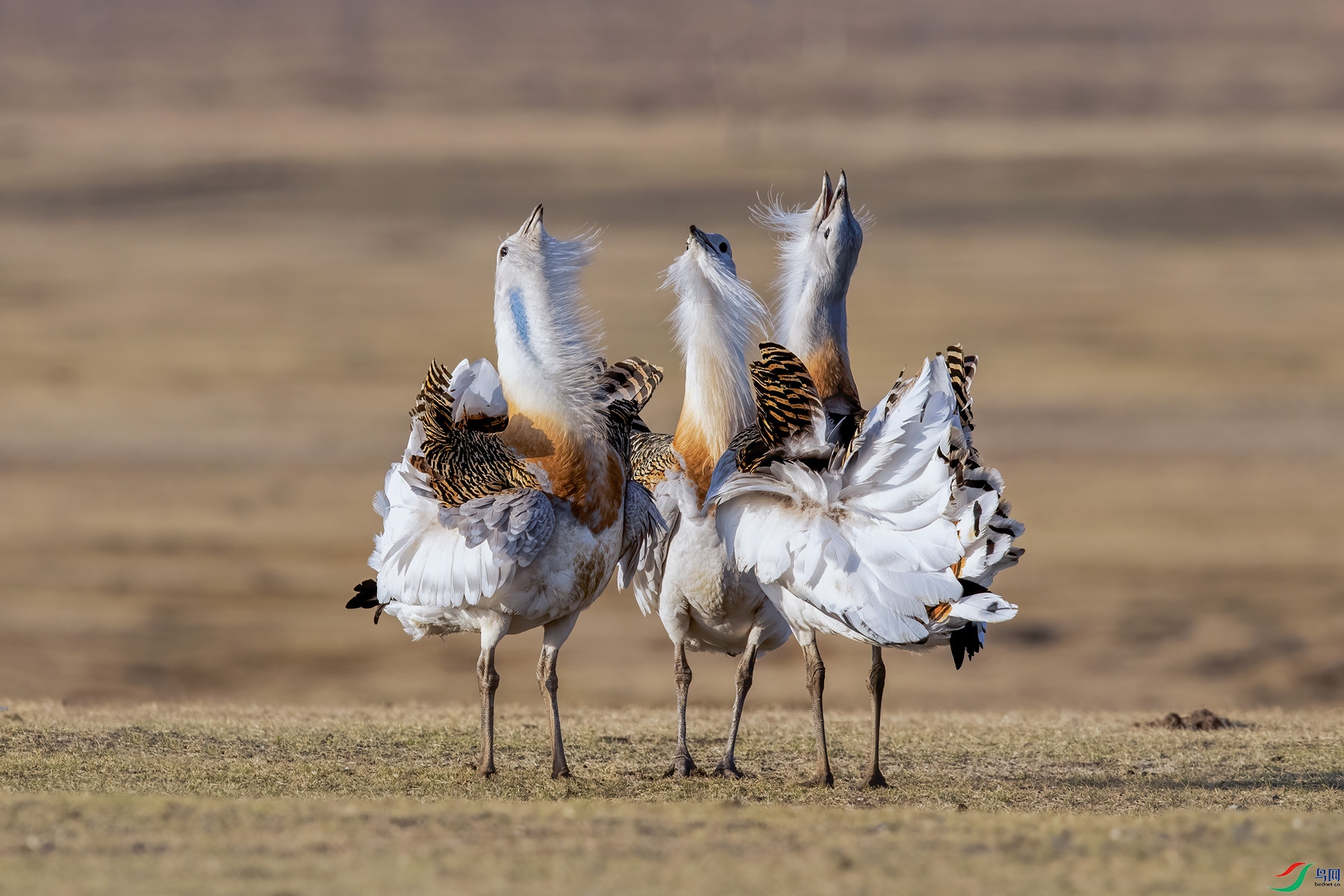 ����ʱ��