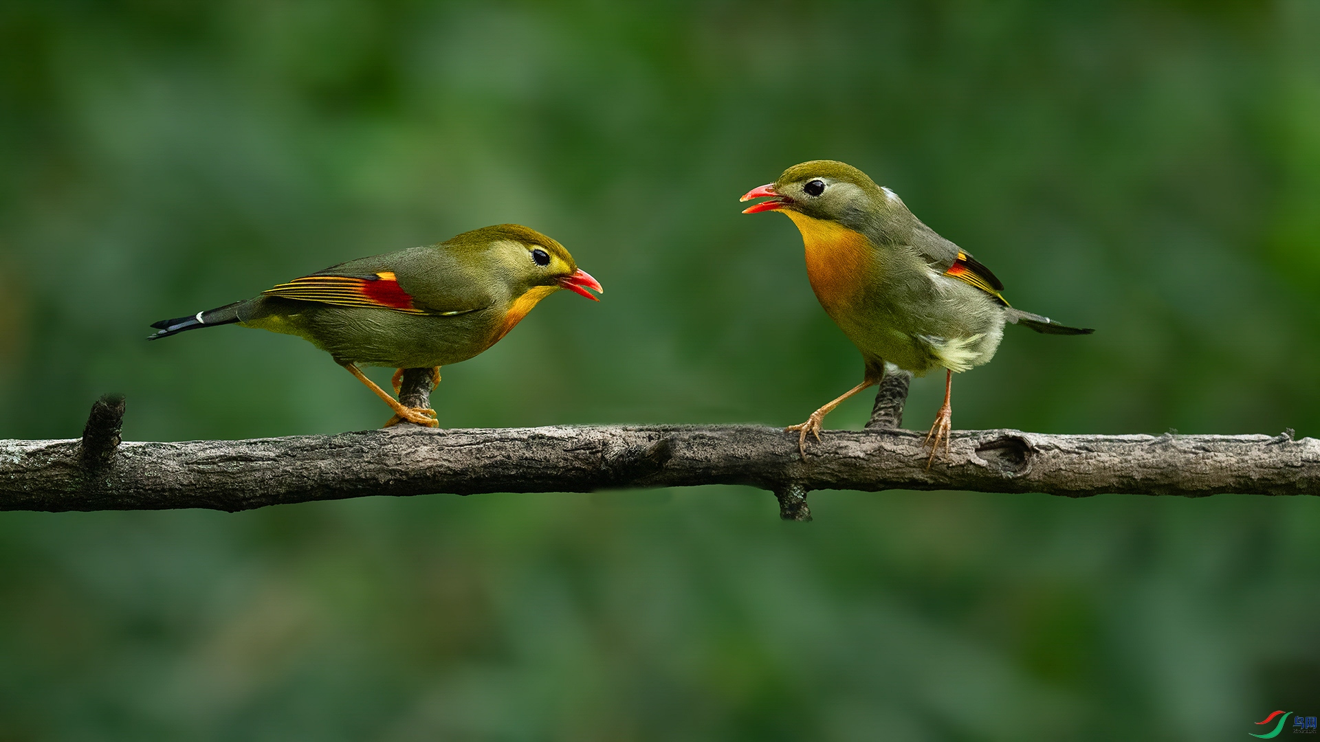 ������˼��