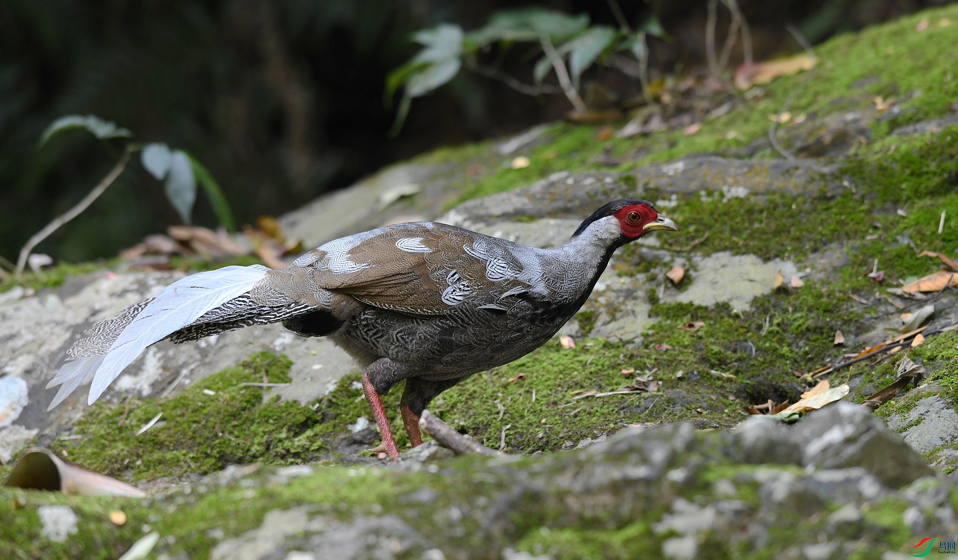 DSC_4996.jpg