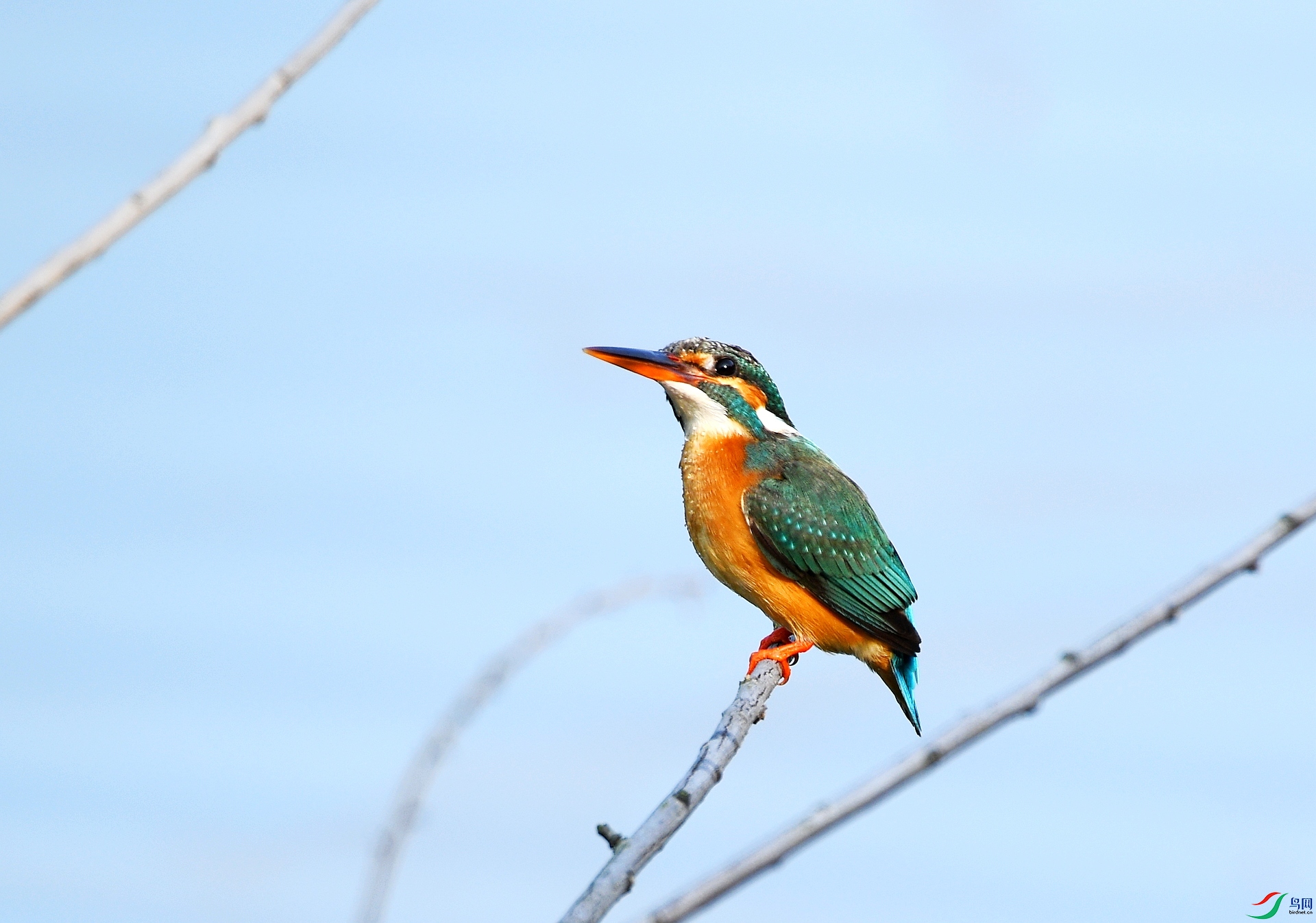 DSC_9909.jpg