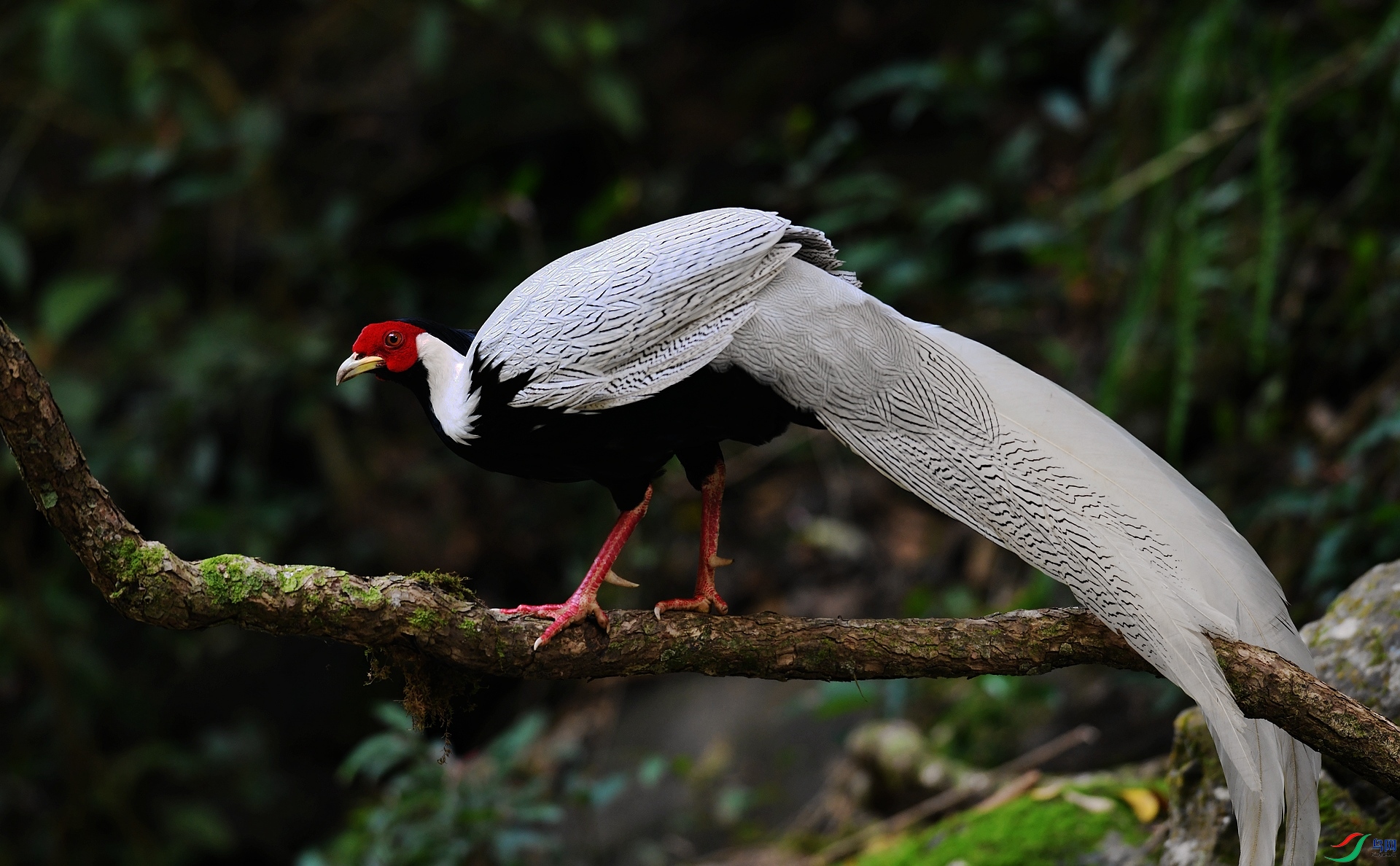 DSC_5316.jpg