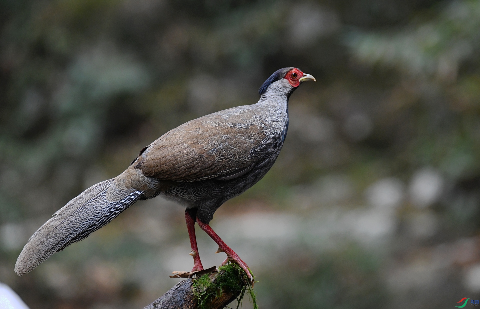 DSC_9989.jpg