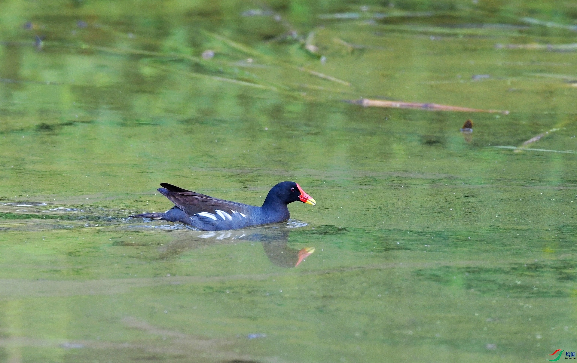 DSC_9939.jpg