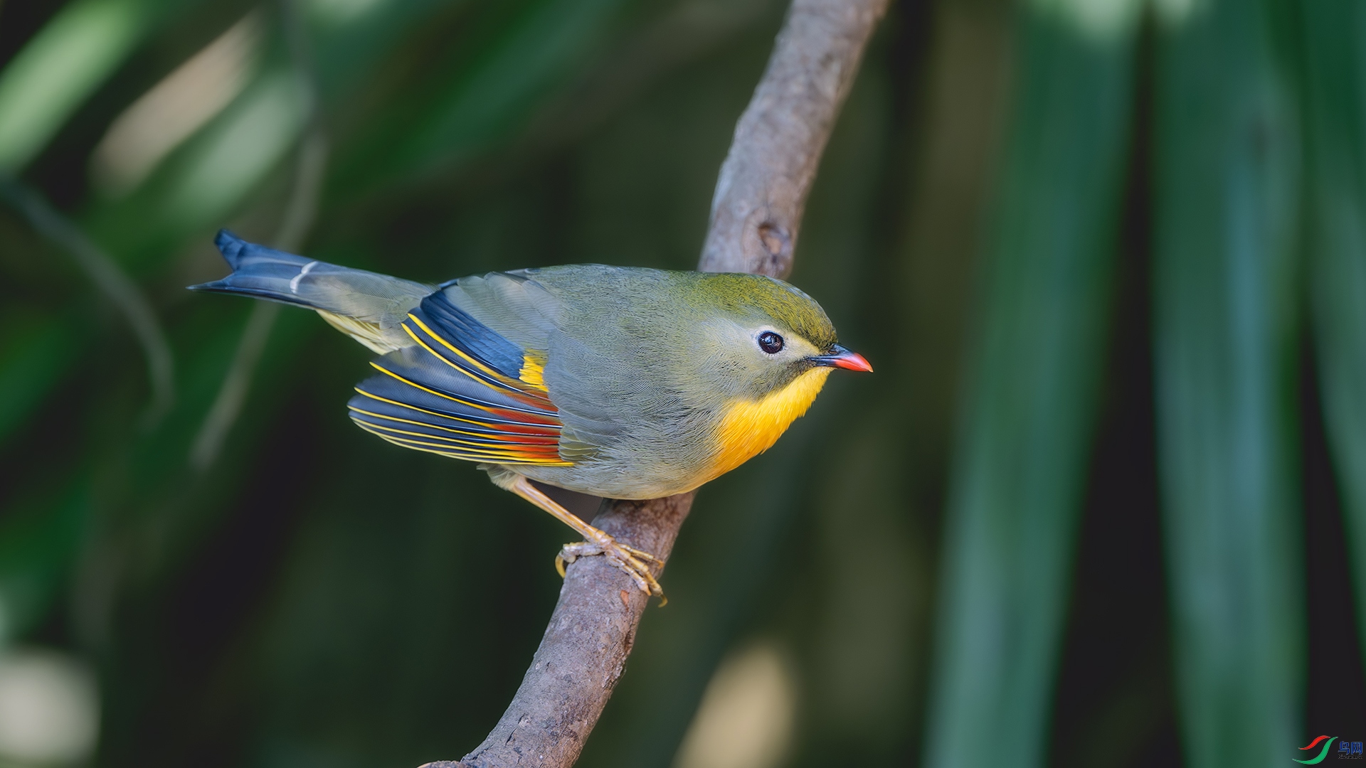 DSC_6816-����ǿ-NR ����.jpg
