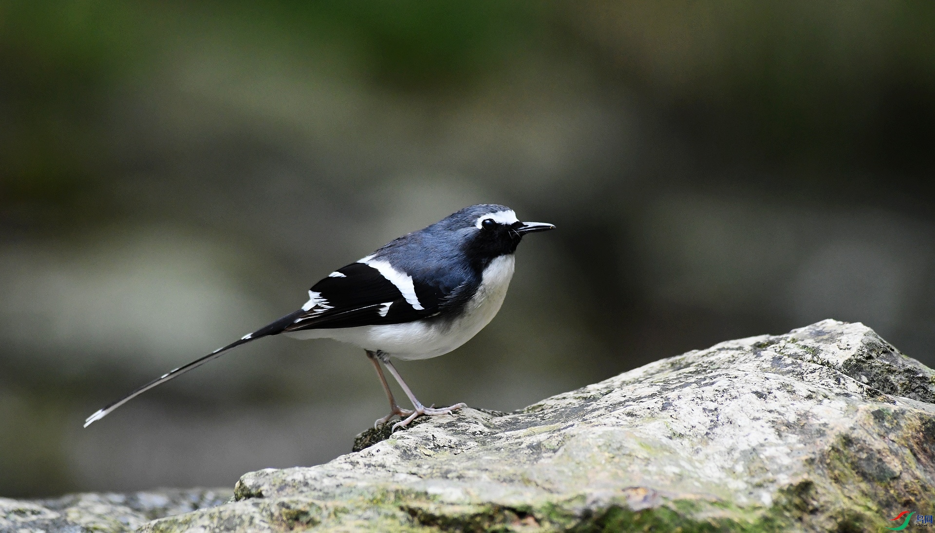 DSC_9763.jpg