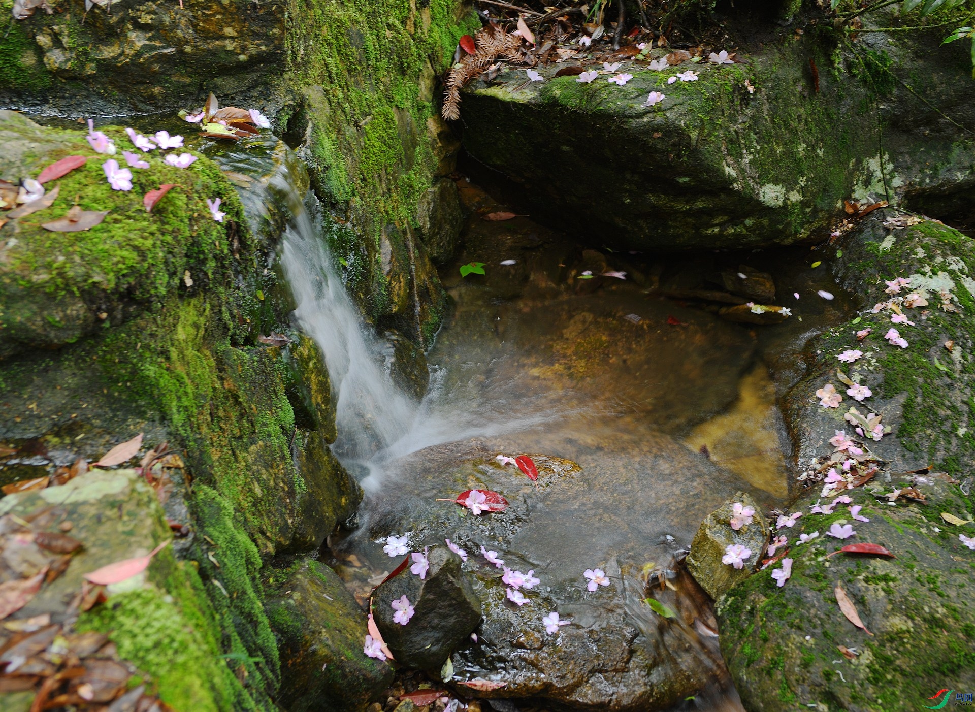 DSC_9784.jpg